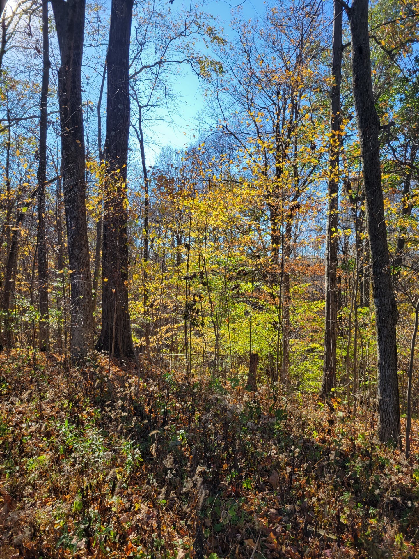 00 Valley Drive Drive, Greencastle, IN, 46135 photo 4 of 4