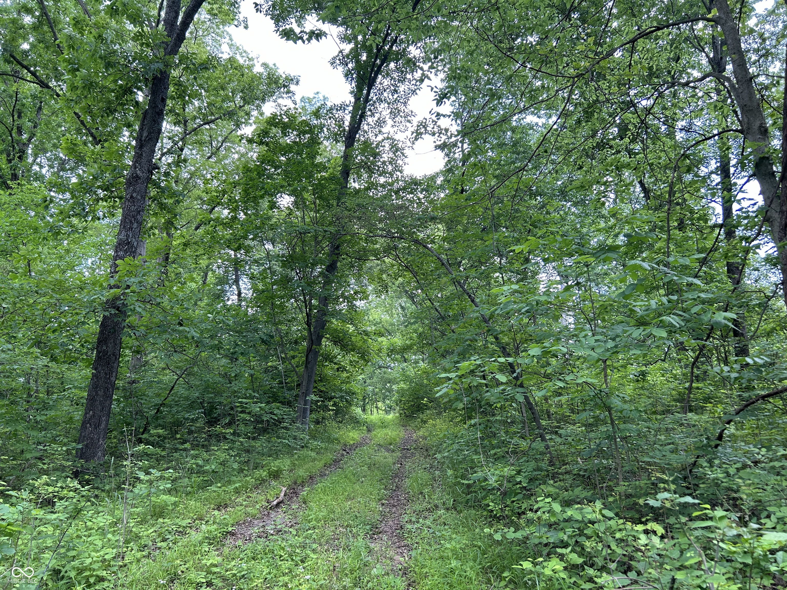 00 Legendary Drive, Martinsville, IN, 46151 photo 4 of 15