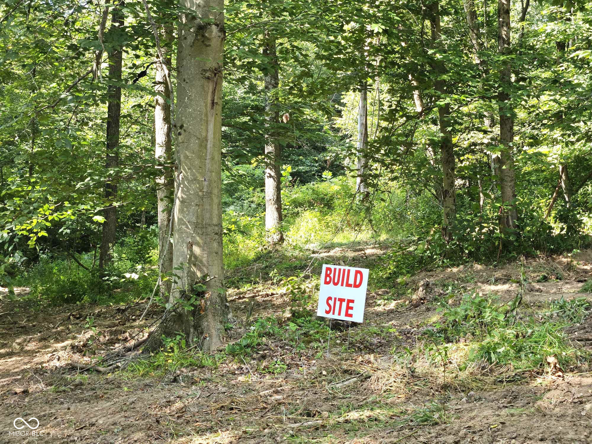 0 Goat Hollow Estates Lot 6, Martinsville, IN, 46151 photo 4 of 16