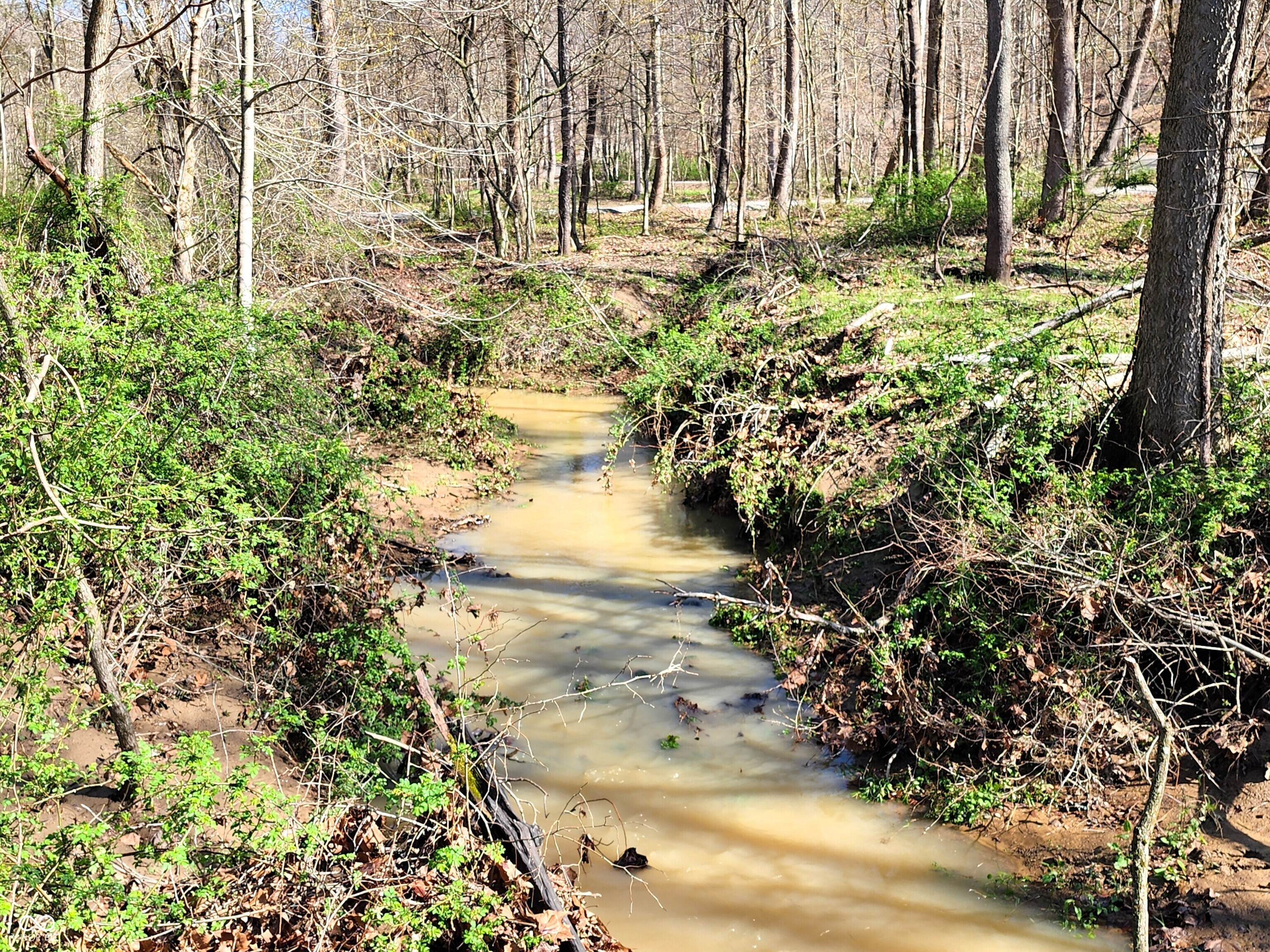 0 Goat Hollow Estates Lot 4, Martinsville, IN, 46151 photo 4 of 11