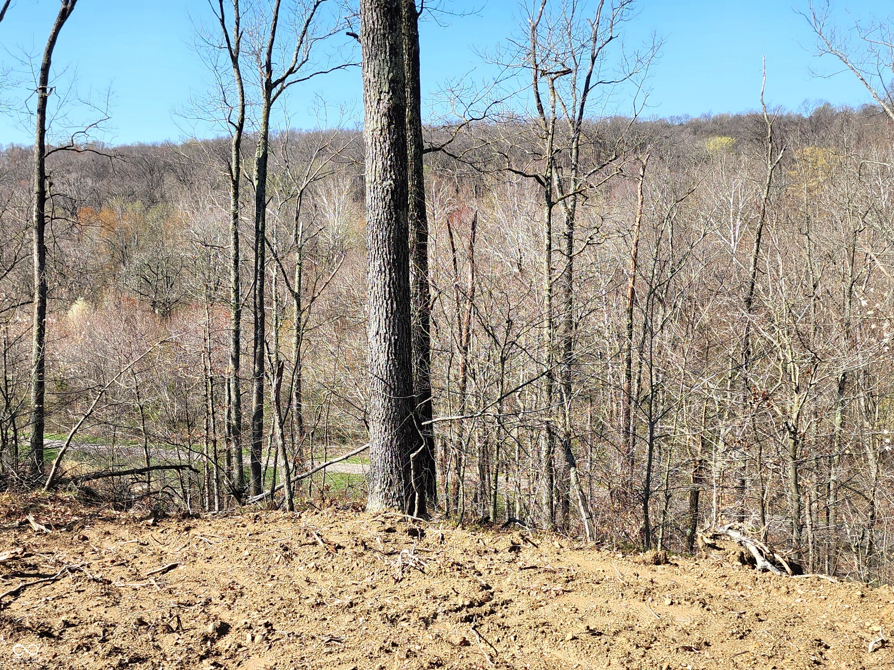 Lot 5 Goat Hollow Estates, Martinsville, IN, 46151 photo 4 of 7