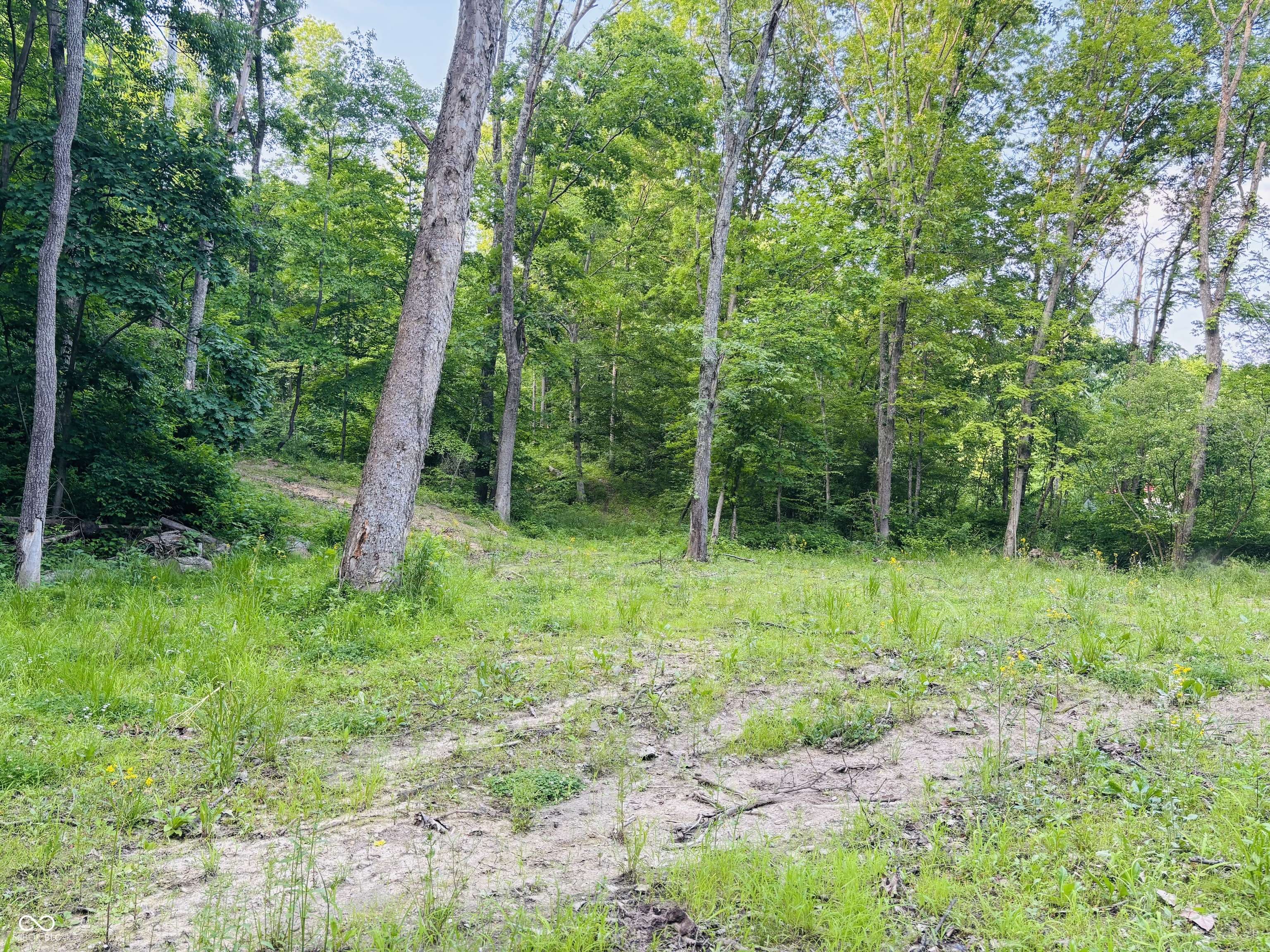 0 Laurel Road, Laurel, IN, 47024 photo 4 of 16