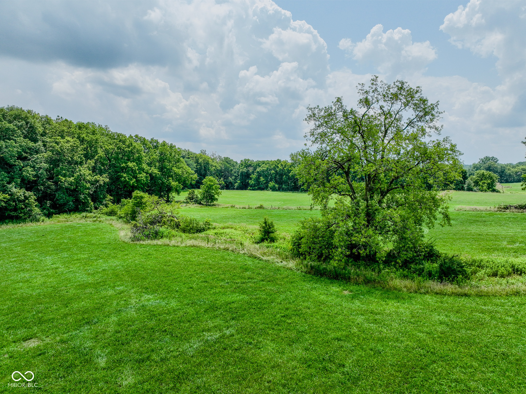 1645 Dye Creek Court, Zionsville, IN, 46077 photo 4 of 10