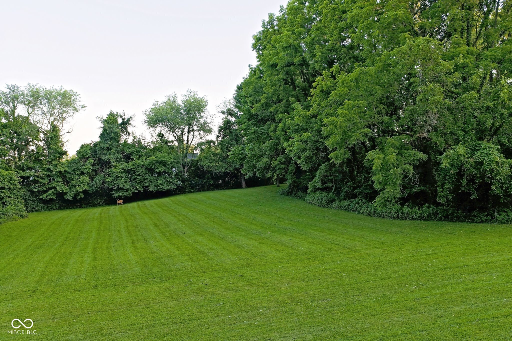 4155 S Walnut Street Tract A Pike, Bloomington, IN, 47401 photo 4 of 5