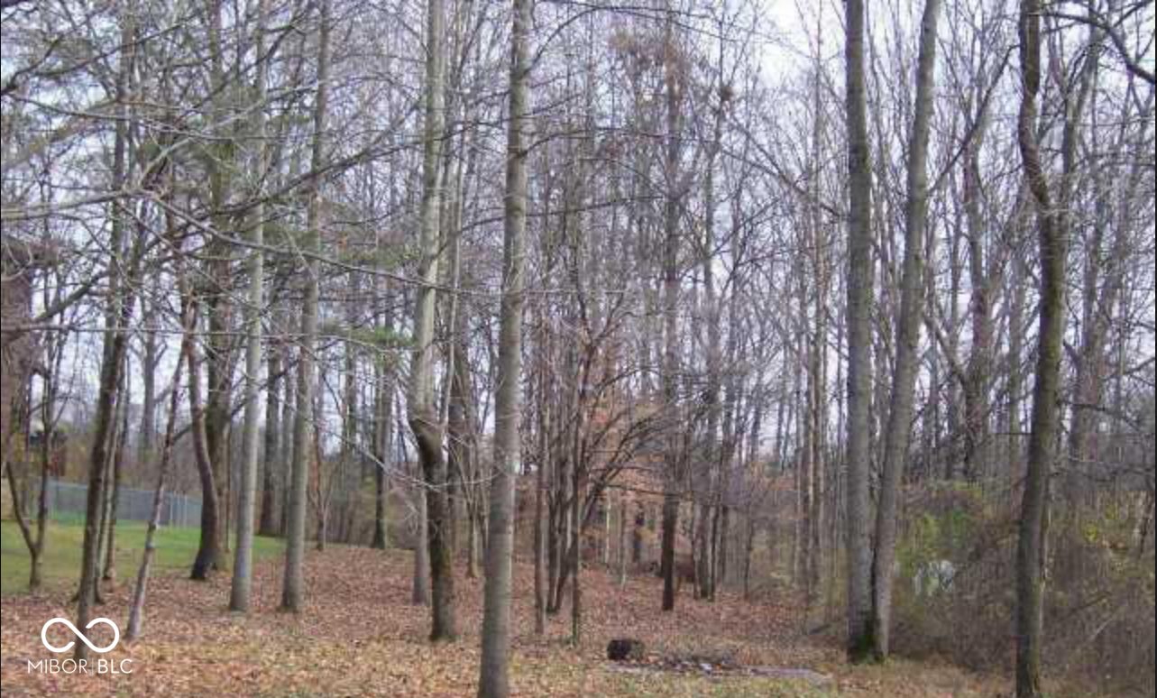 7427 Lion Drive, Nineveh, IN, 46164 photo 4 of 4