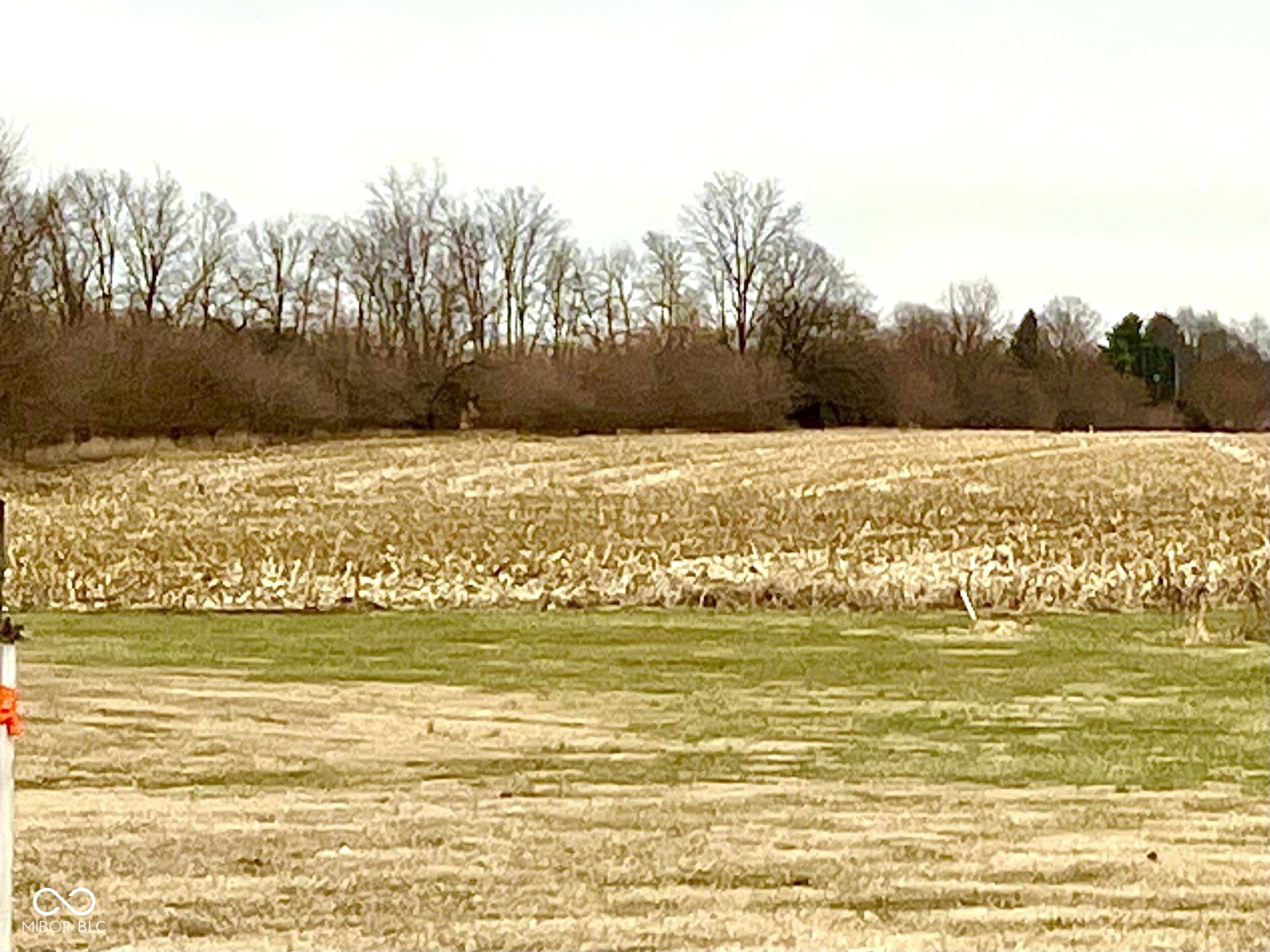 0 S Meridian Road, Greenfield, IN, 46140 photo 4 of 16