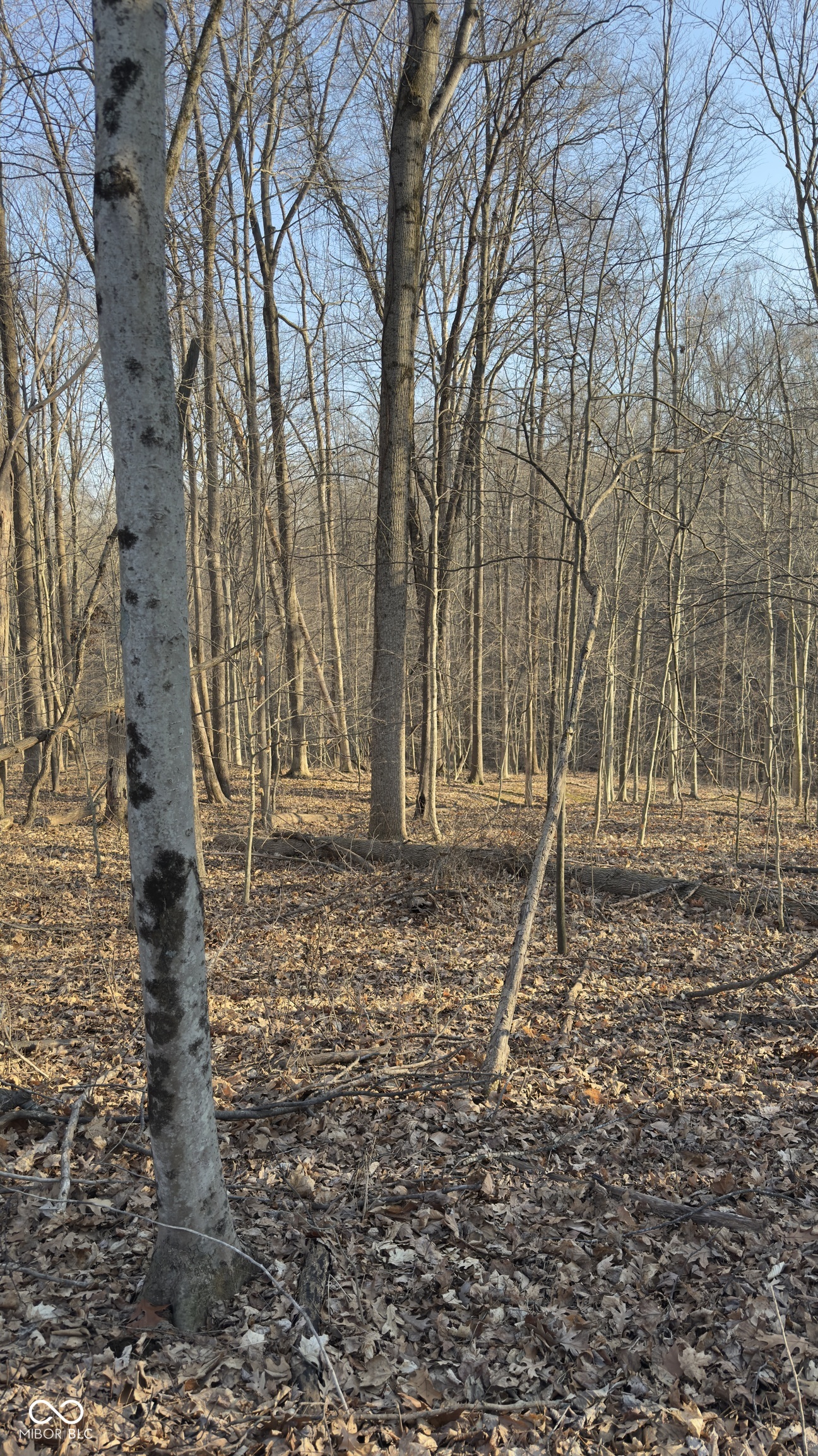 600 South, Reelsville, IN, 46171 photo 4 of 15