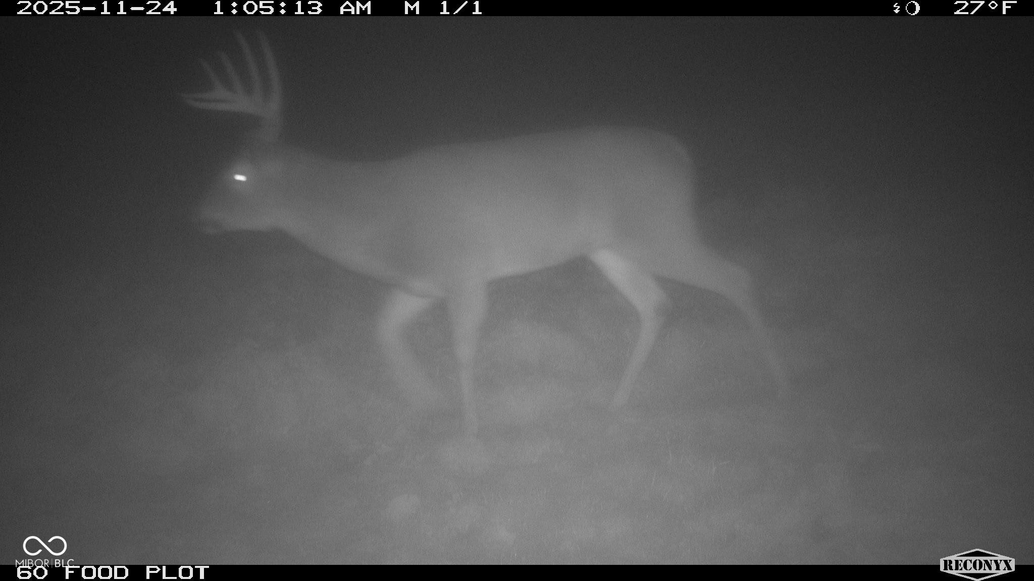0 1300 South, Clinton, IN, 47842 photo 4 of 20