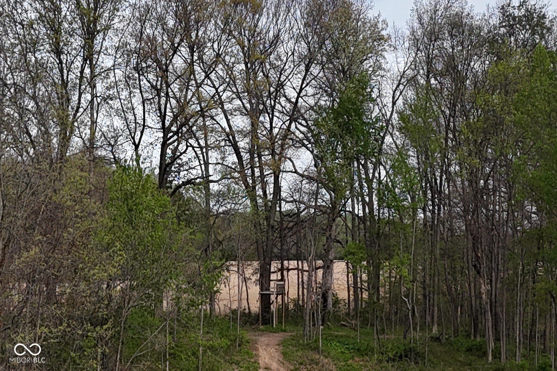 TBD Awbrey West Road, Quincy, IN, 47456 photo 4 of 30