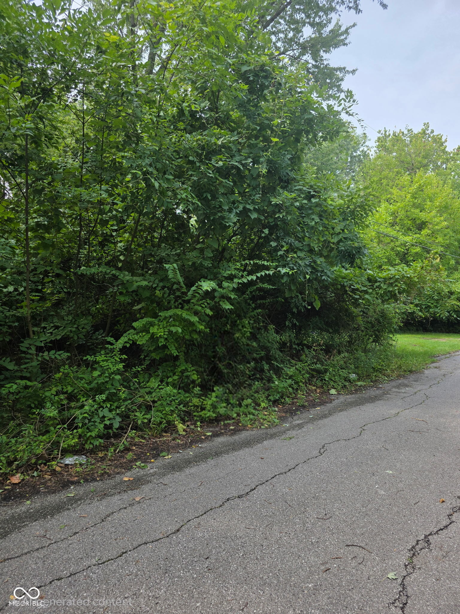 7425 Mount Herman Avenue, Indianapolis, IN, 46231 photo 4 of 4