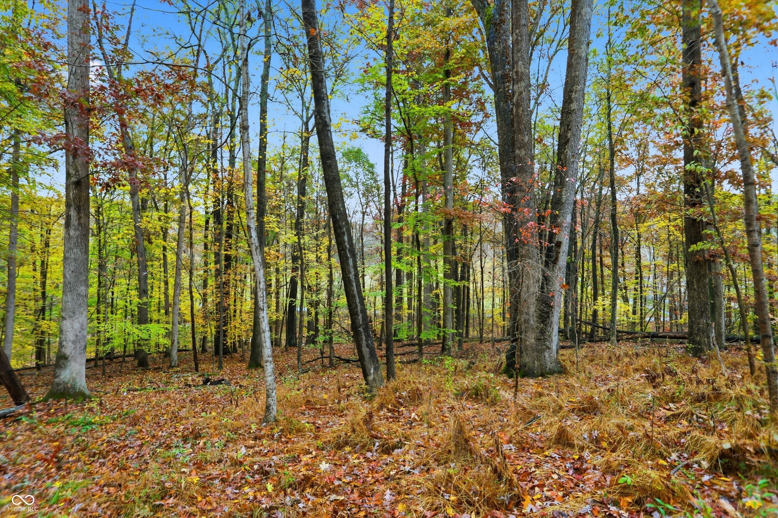 Lot 20 Ridgeway Drive, Nashville, IN, 47448 photo 4 of 20