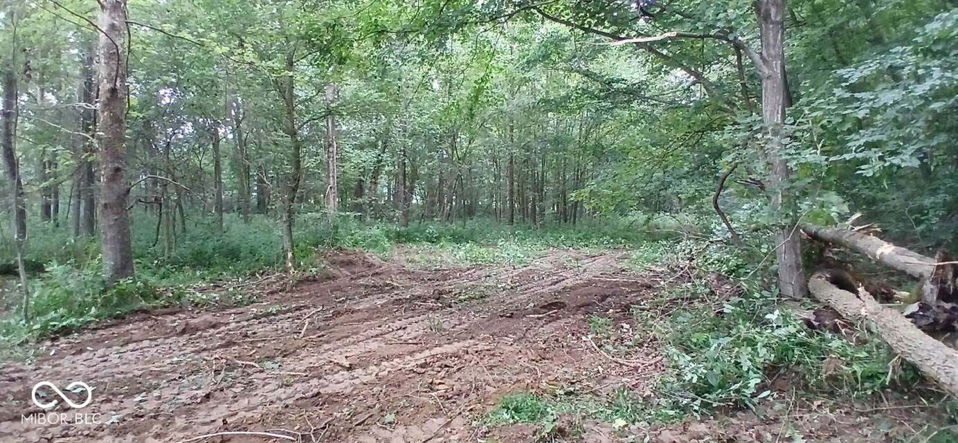 8289 N Fields Road, Vallonia, IN, 47281 photo 4 of 15