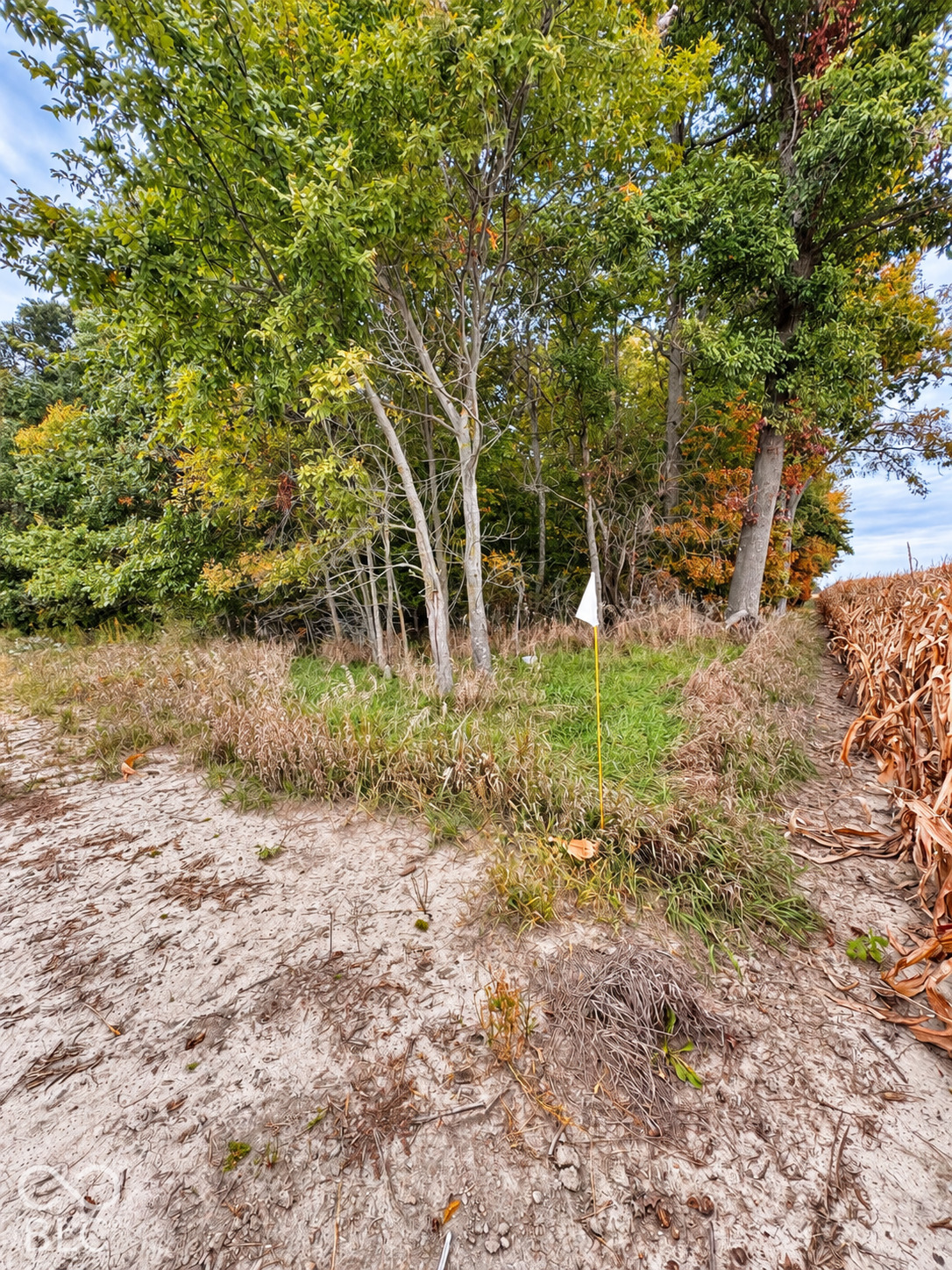E 300 North, Markle, IN, 46750 photo 4 of 12