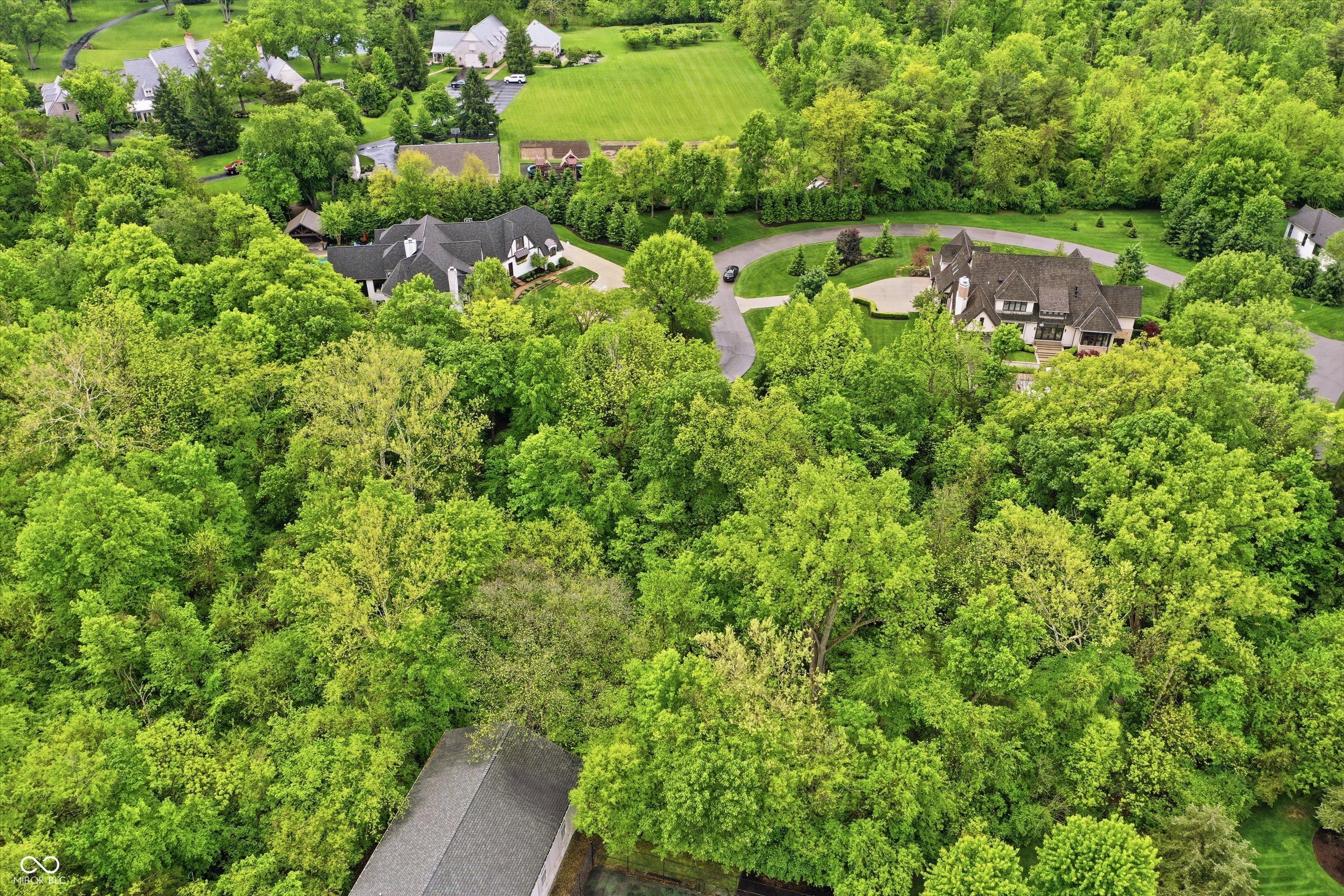1 Woodard Bluff, Zionsville, IN, 46077 photo 4 of 13
