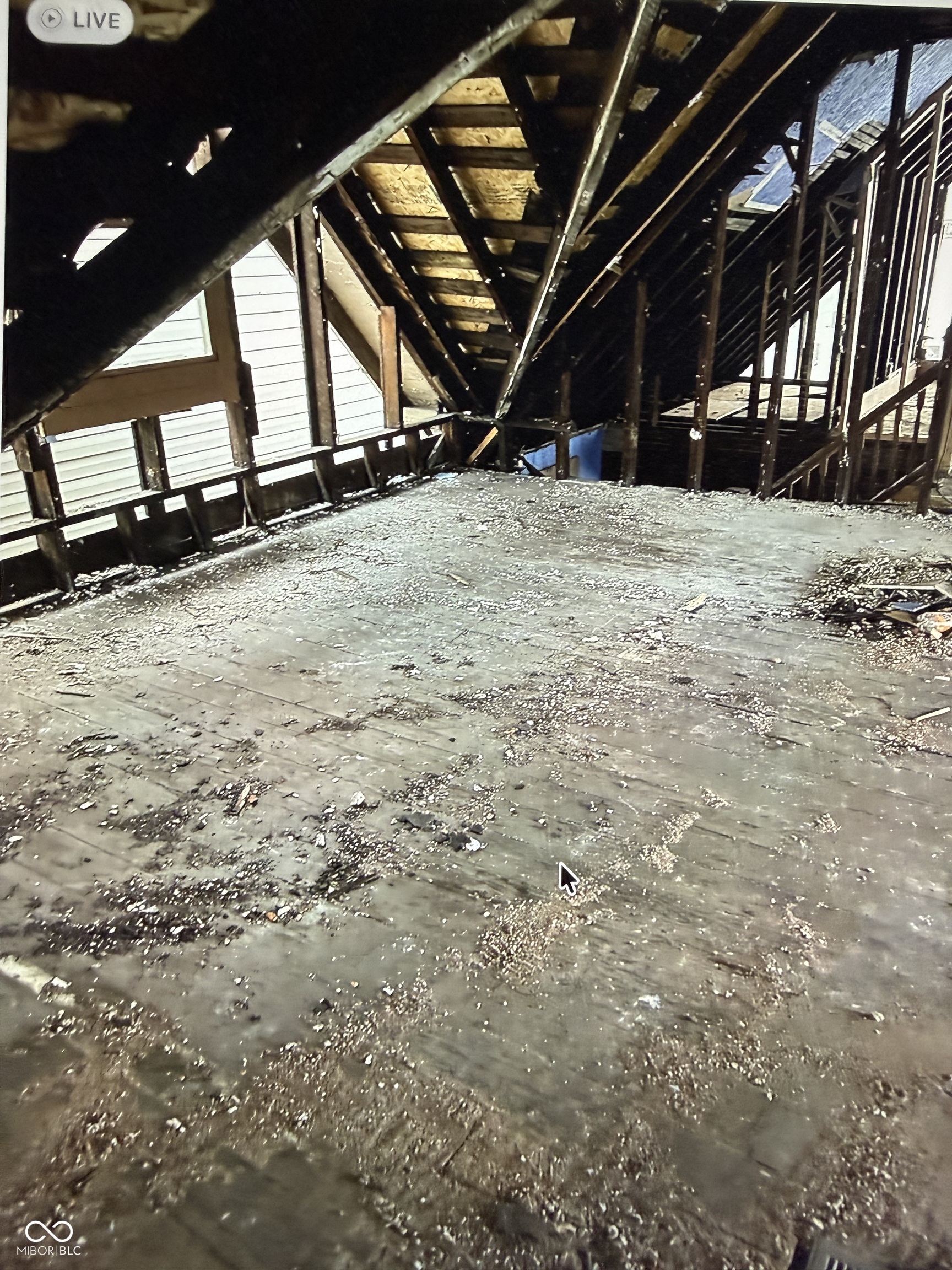 1823 Union Street, Indianapolis, IN, 46225 photo 4 of 4