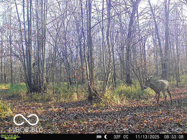 6000 E Block County Rd 1000 N, Seymour, IN, 47274 photo 4 of 4