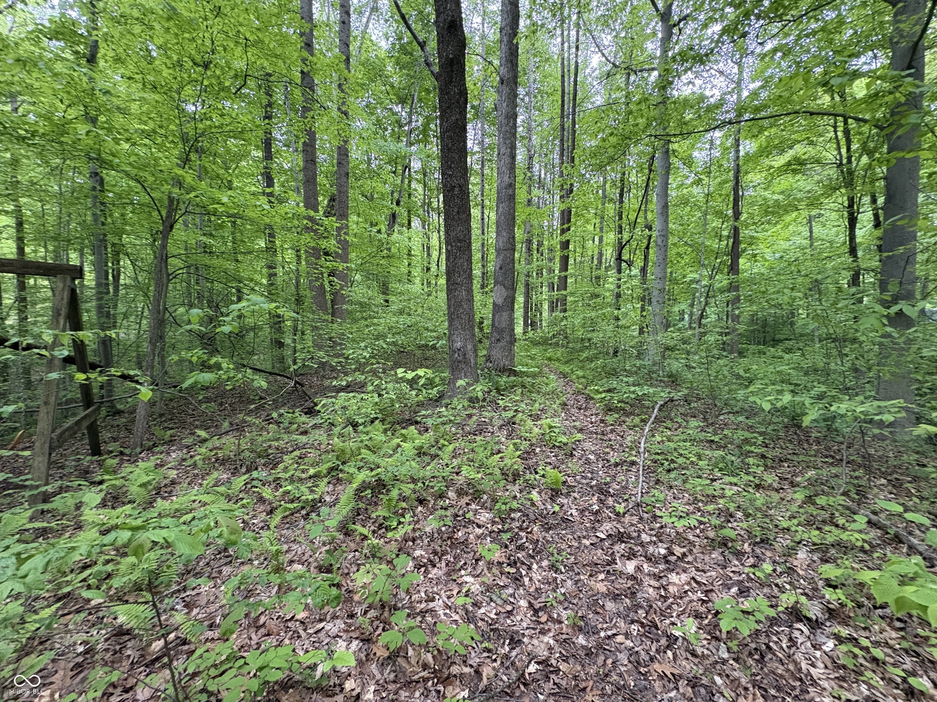 102 & 104 Crabapple Court, Reelsville, IN, 46171 photo 4 of 8