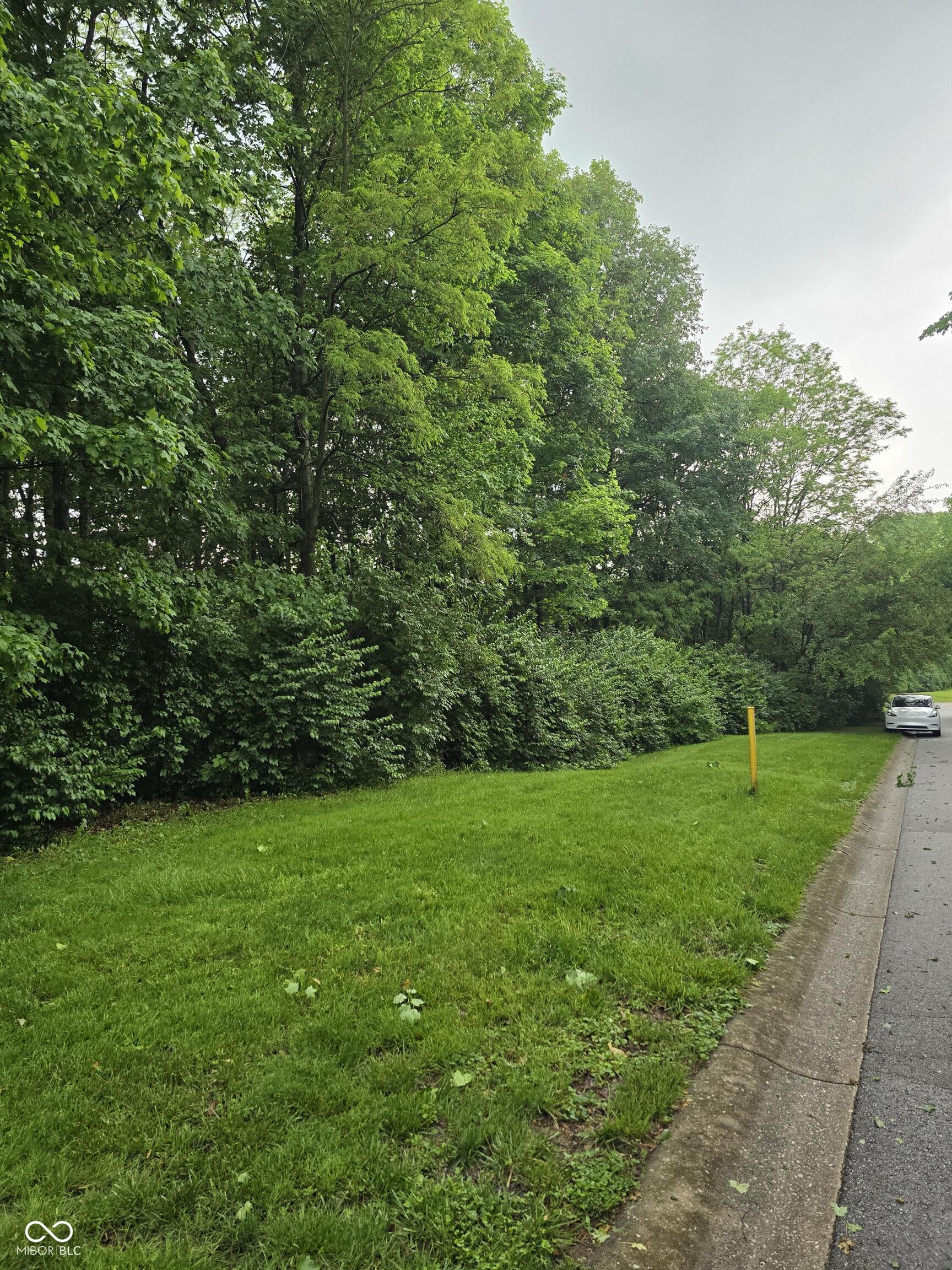 9895 Irishmans Run Lane, Zionsville, IN, 46077 photo 4 of 5