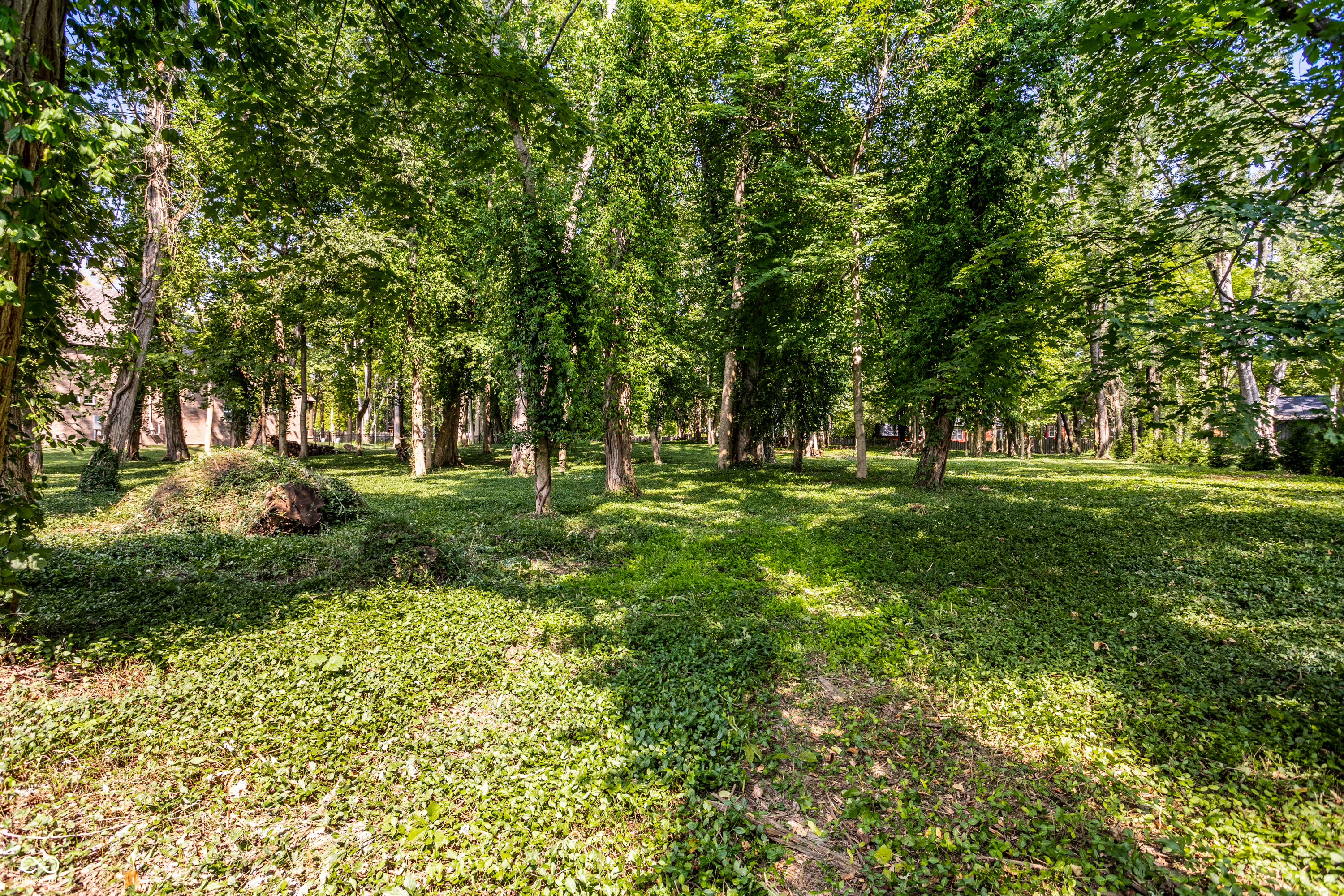 558 E 82nd Street, Indianapolis, IN, 46240 photo 4 of 13