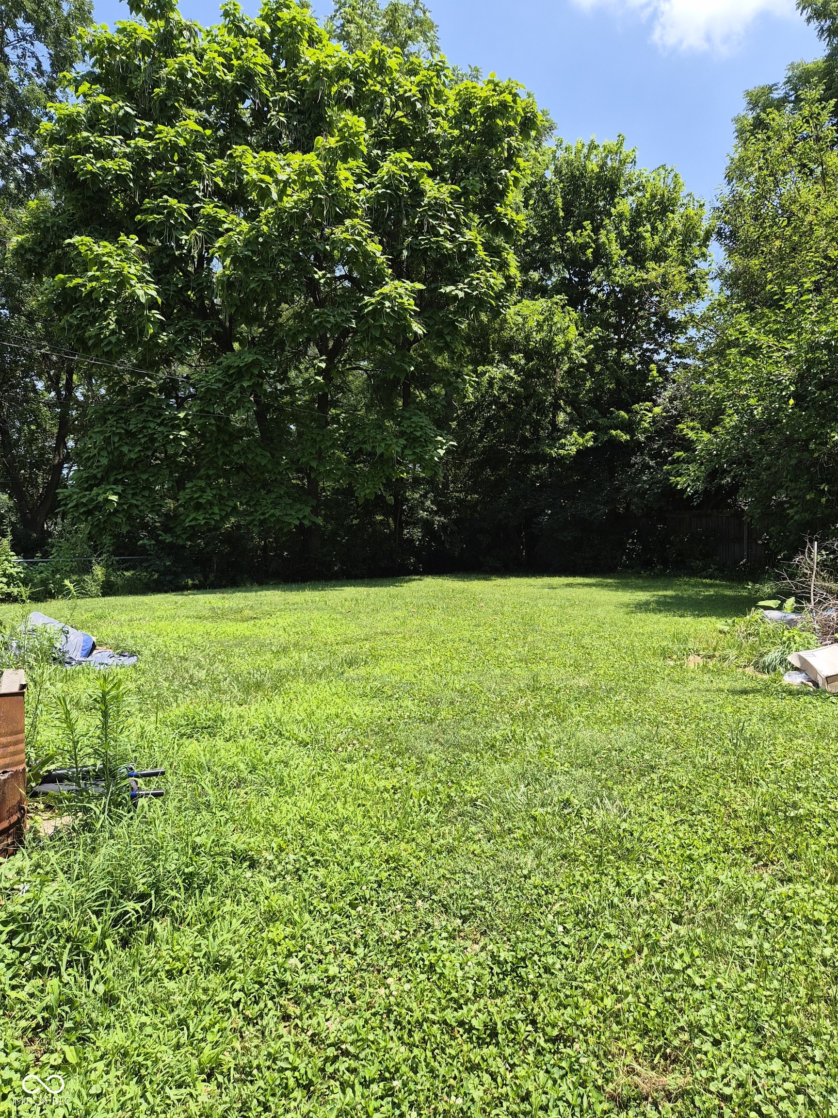 1145 Madeira Street, Indianapolis, IN, 46203 photo 4 of 5