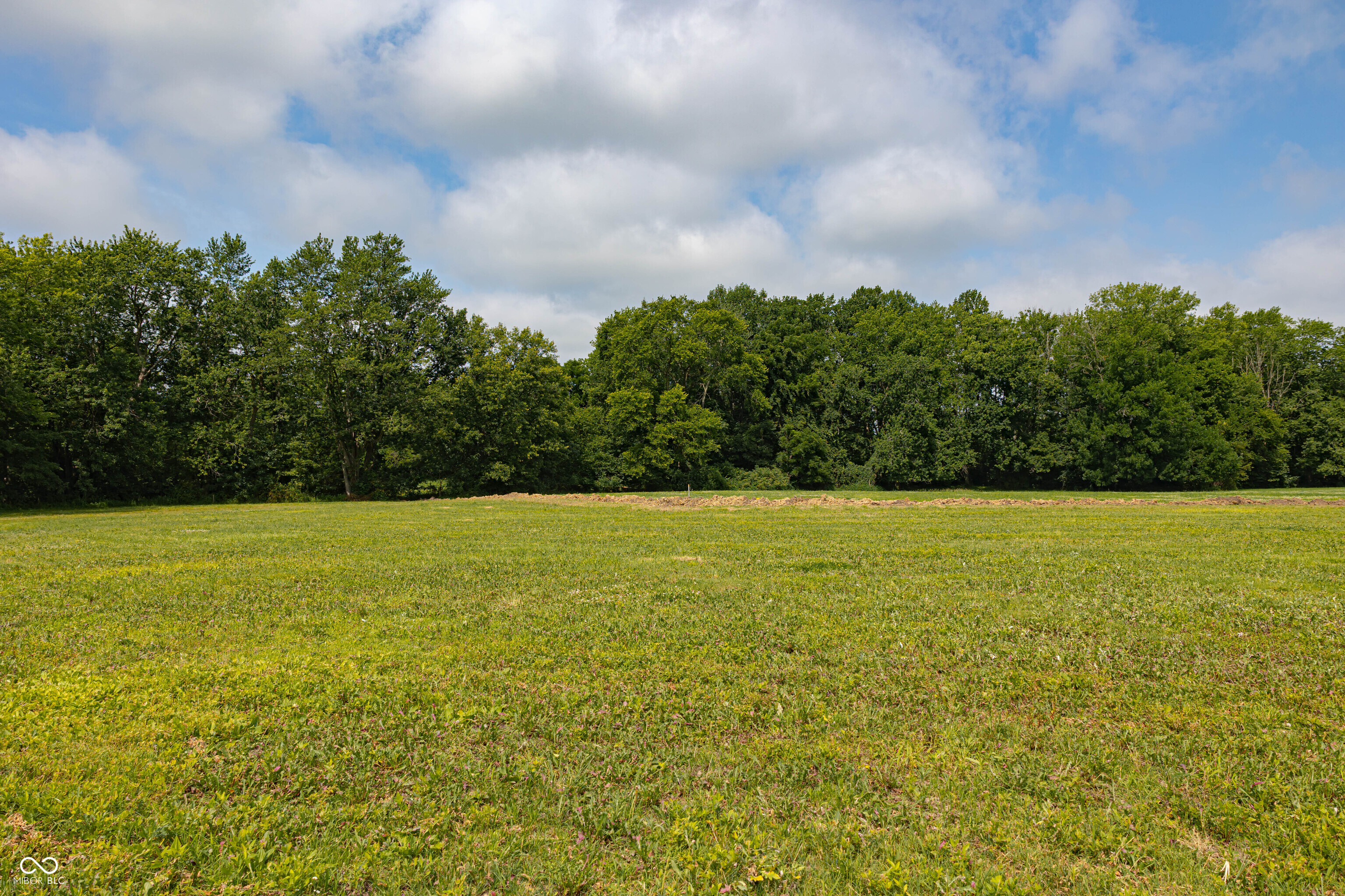 7106 Marsh Circle, Camby, IN, 46113 photo 4 of 15
