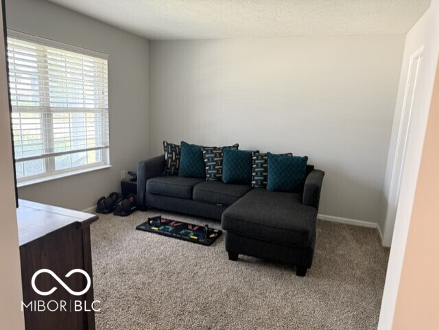 7347 Marigold Way, Brownsburg, IN, 46112 photo 4 of 20