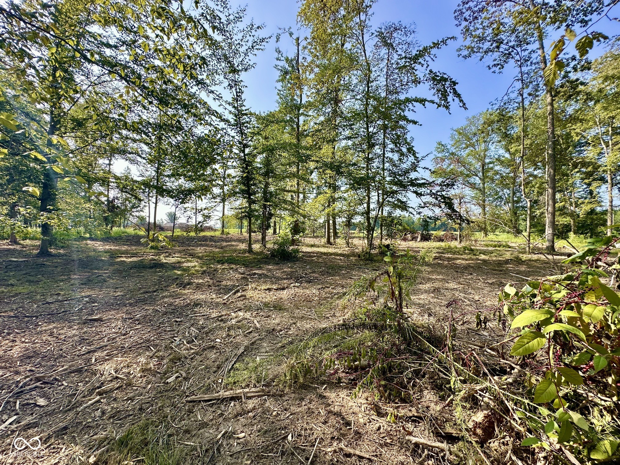 Tract A W Private Rd 775 S, Commiskey, IN, 47227 photo 4 of 19
