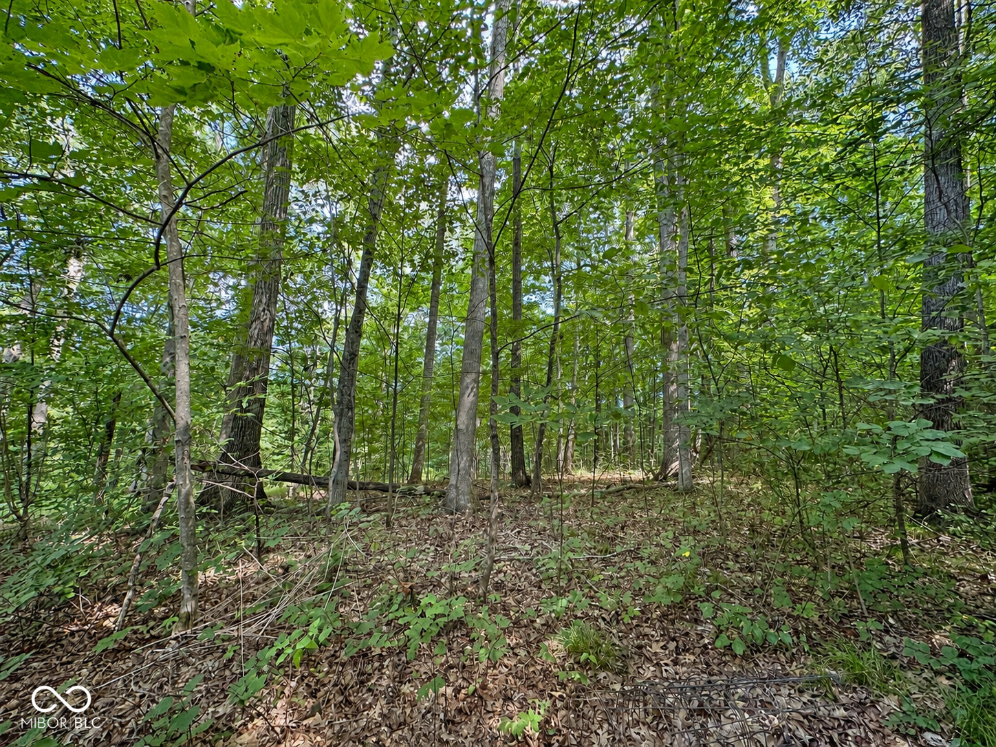 8045 N Ritter Road, Morgantown, IN, 46160 photo 4 of 70