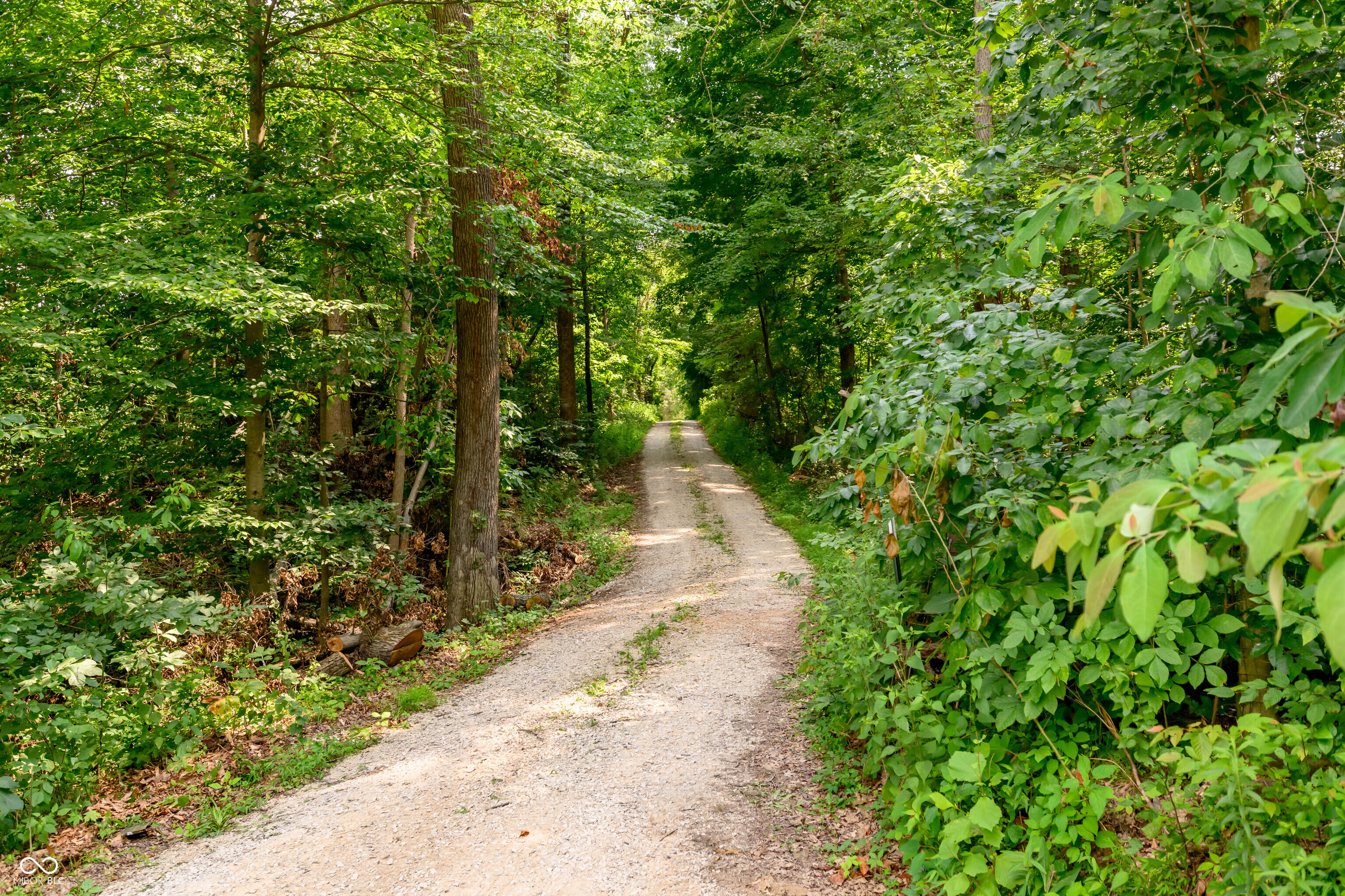 0 Shelton Road, Martinsville, IN, 46151 photo 4 of 38