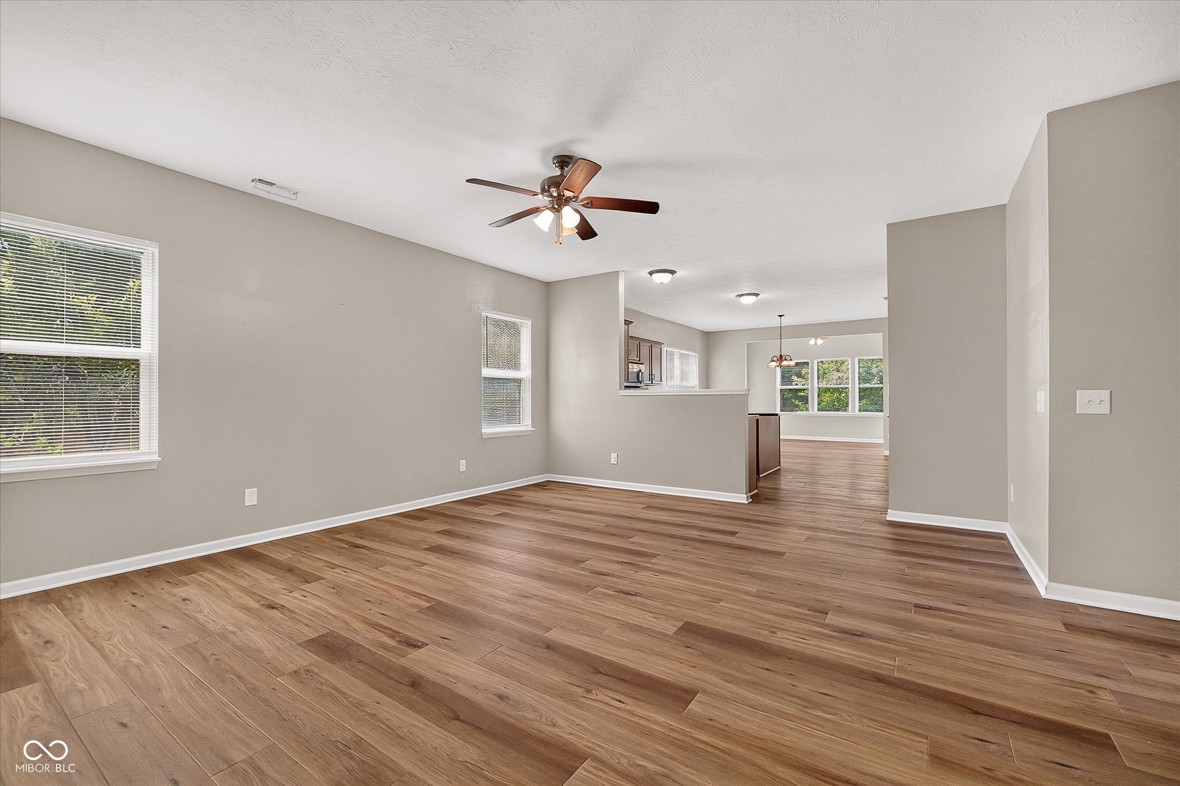 8922 N Springview Drive, McCordsville, IN, 46055 photo 4 of 37