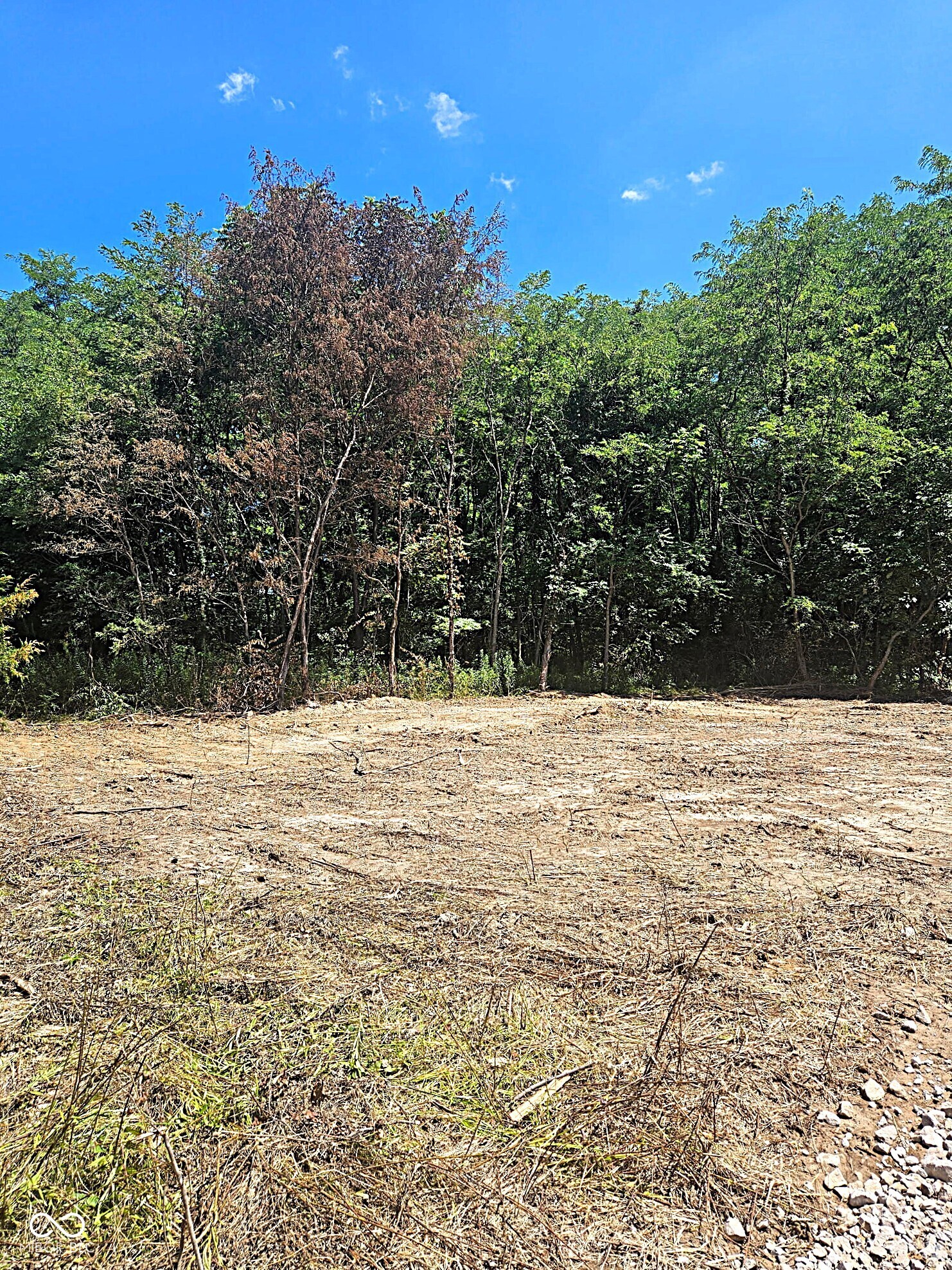 0 Arend Road, Martinsville, IN, 46151 photo 4 of 8