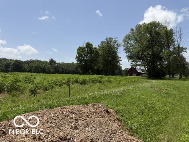 2889 E County Road 875 S, Mooresville, IN, 46158 photo 4 of 4