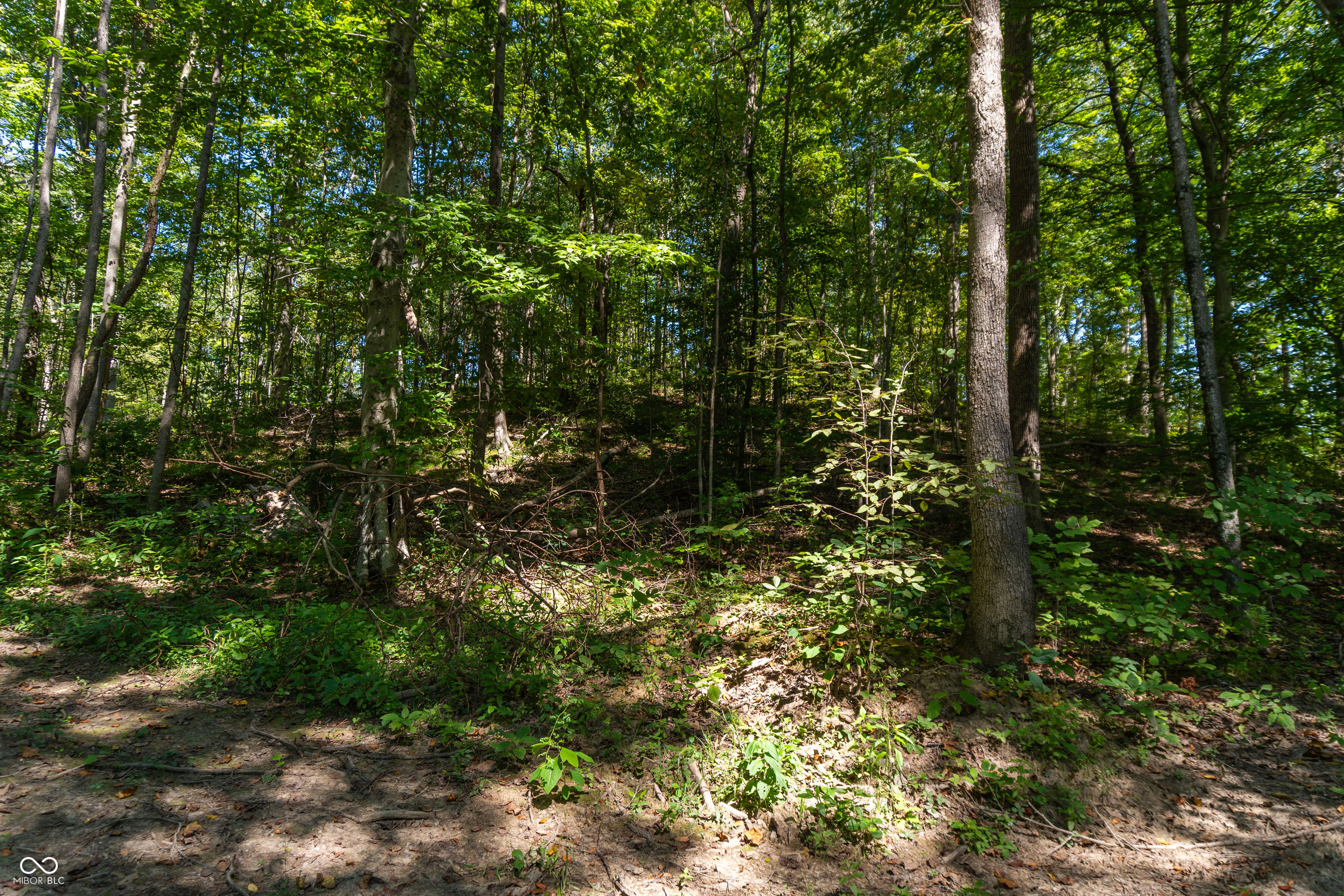 0 Pumpkinvine Hill Road, Martinsville, IN, 46151 photo 4 of 23