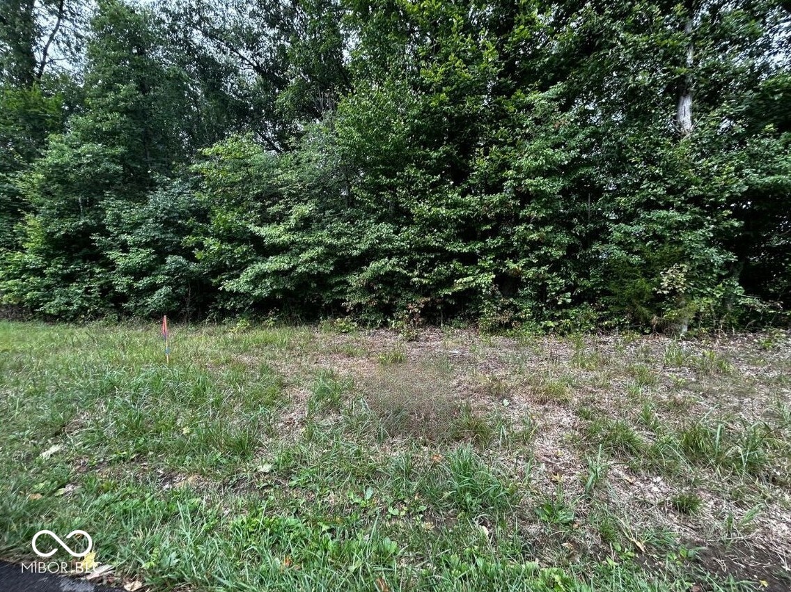 Tract 4 W 900 N, Freetown, IN, 47235 photo 4 of 4