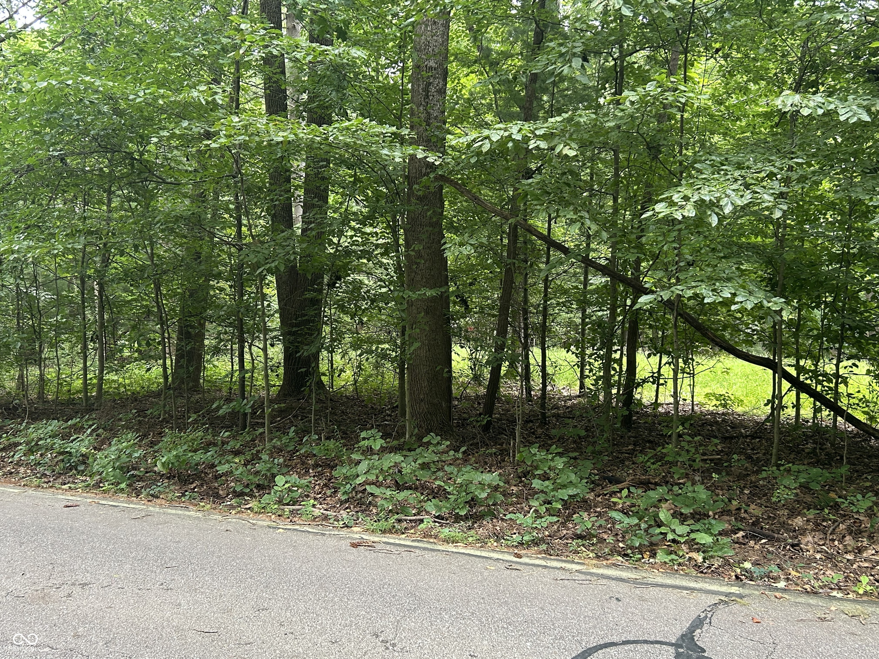 0 Cordry Drive, Nineveh, IN, 46164 photo 4 of 5