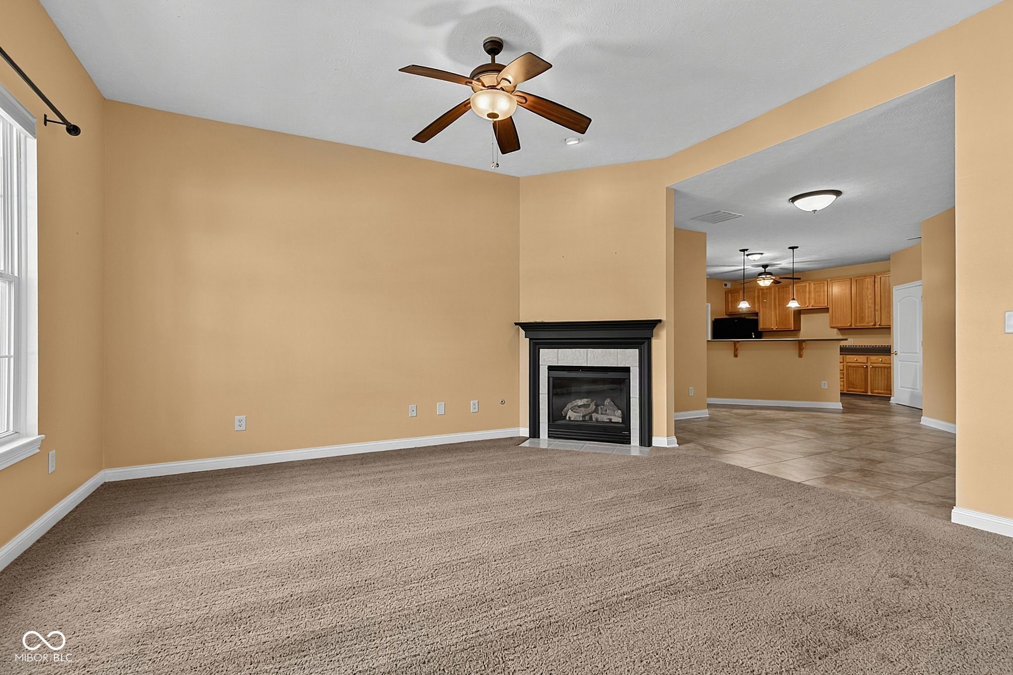 4003 Storrow Way, Westfield, IN, 46062 photo 4 of 42