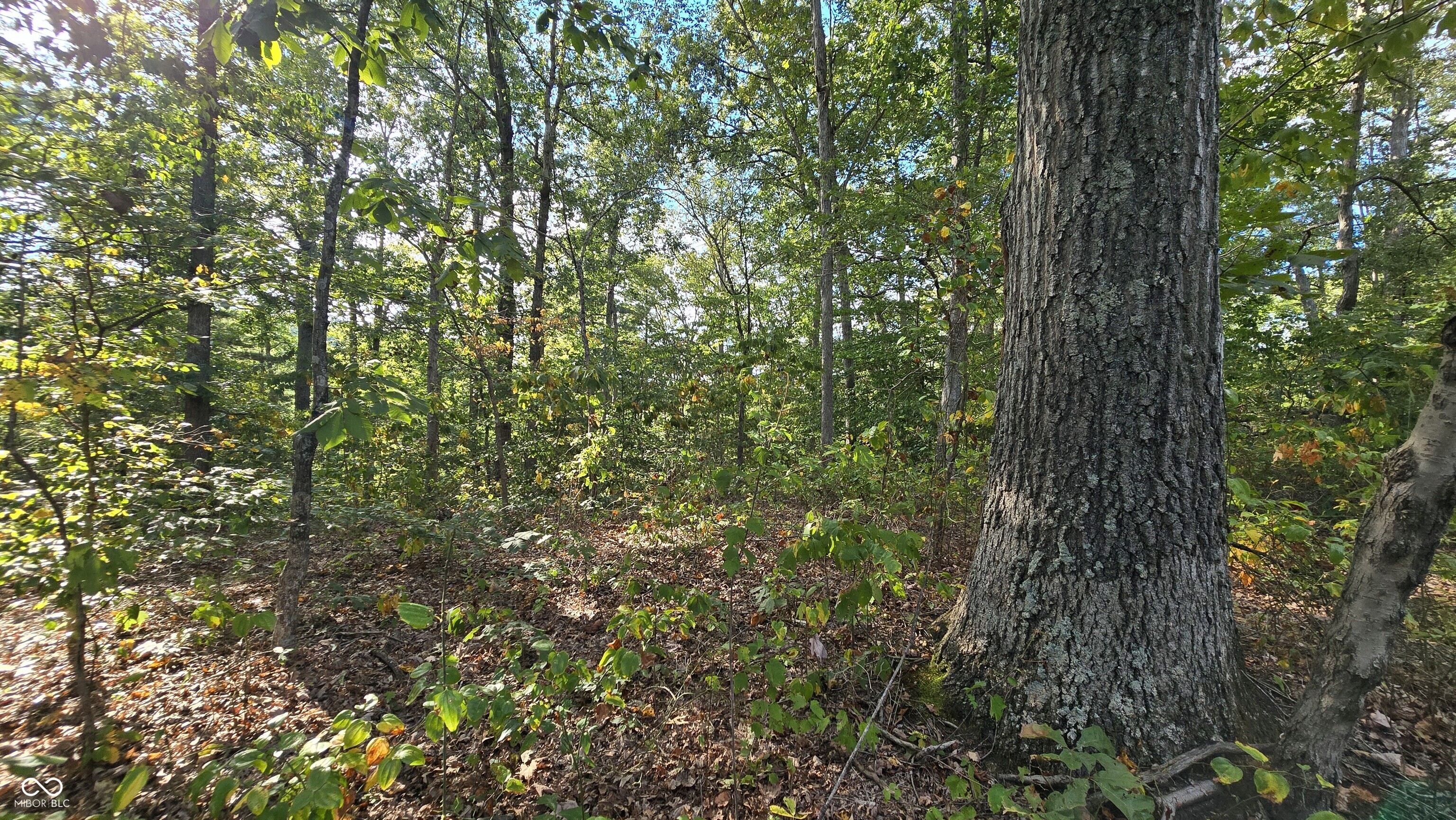 4332 N State Road 135, Freetown, IN, 47235 photo 4 of 39