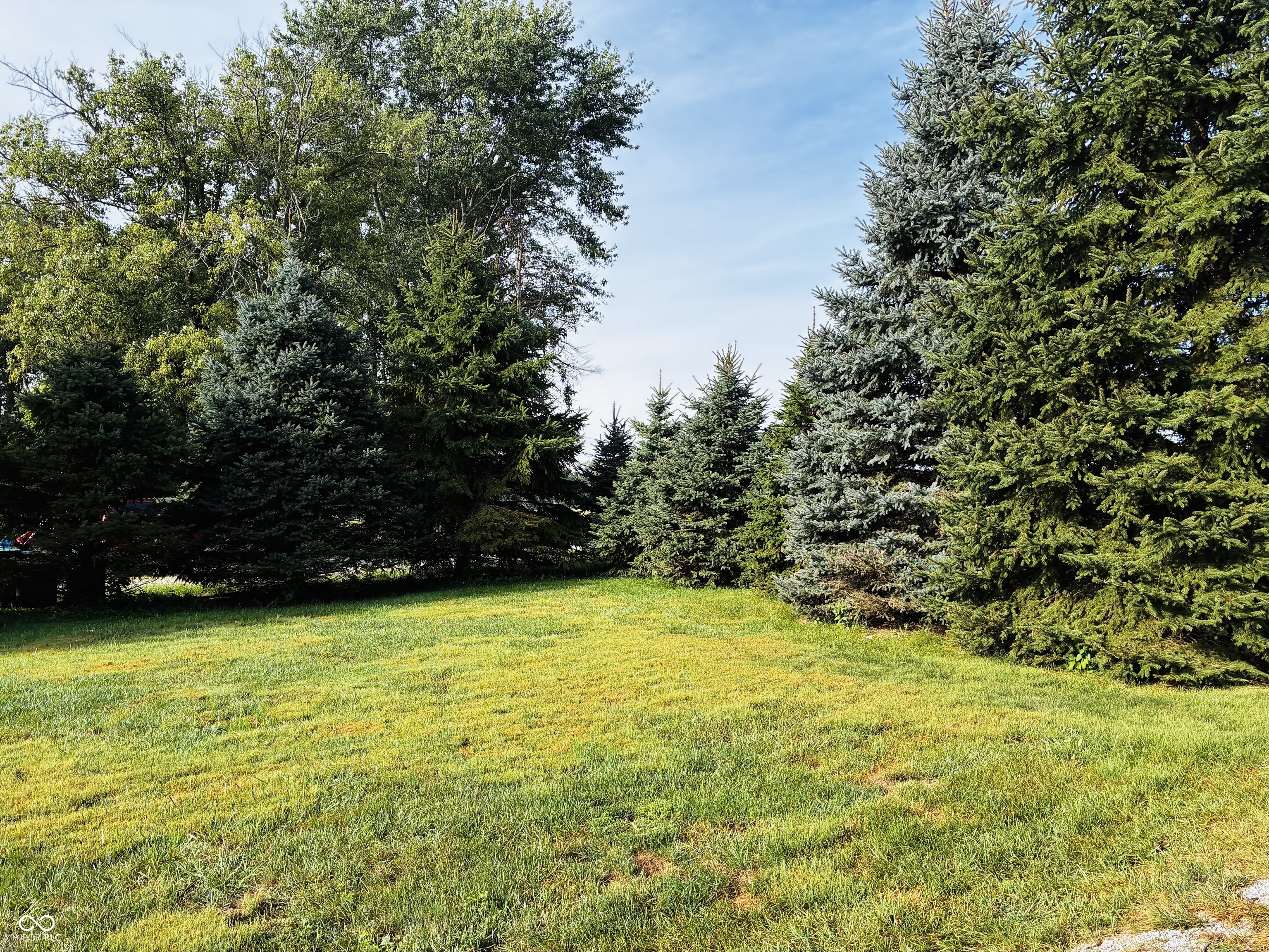 5918 N State Road 9, Shelbyville, IN, 46176 photo 4 of 36