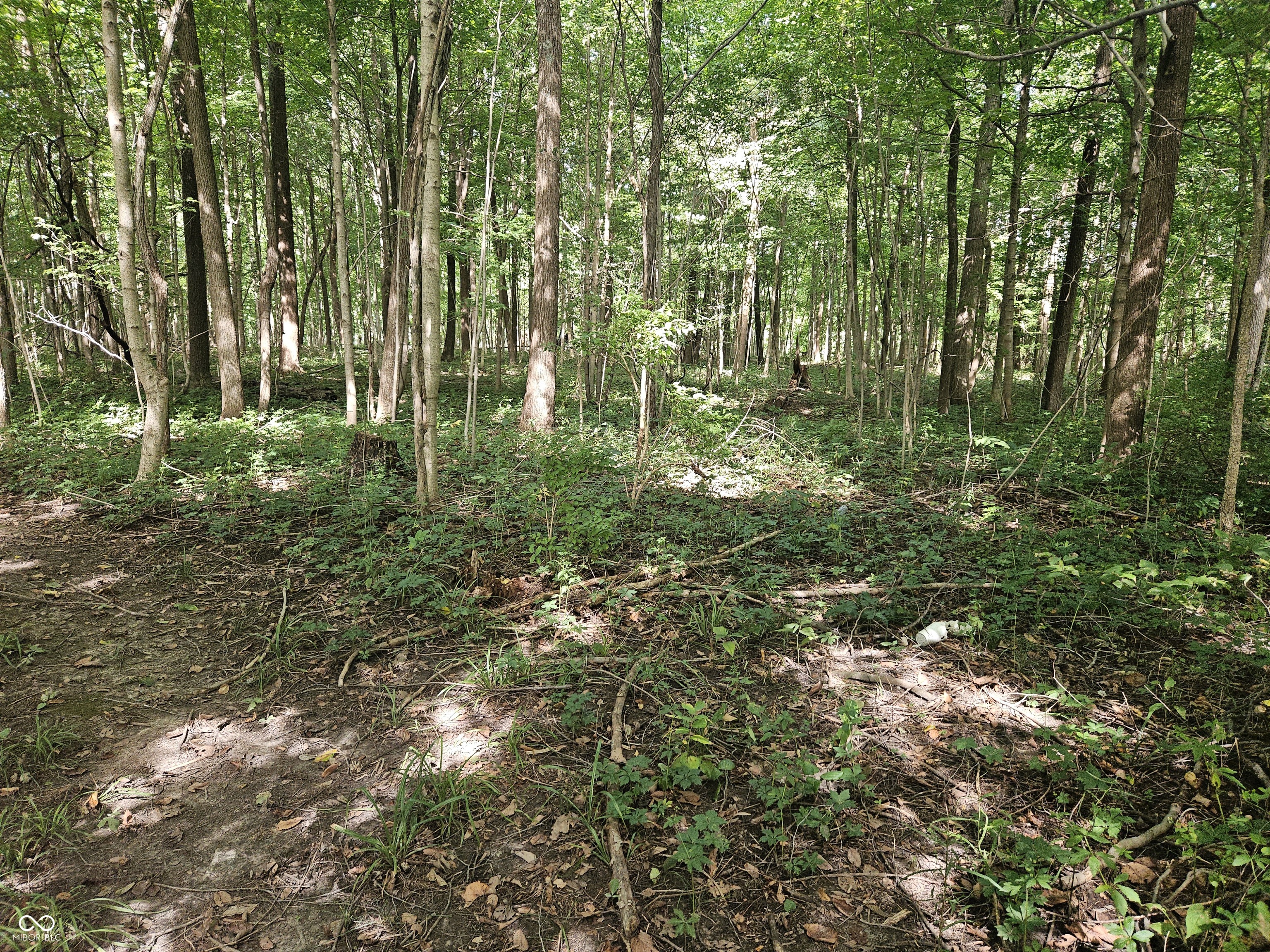 4078 E St. Rd. 28 Road, Tipton, IN, 46072 photo 4 of 6