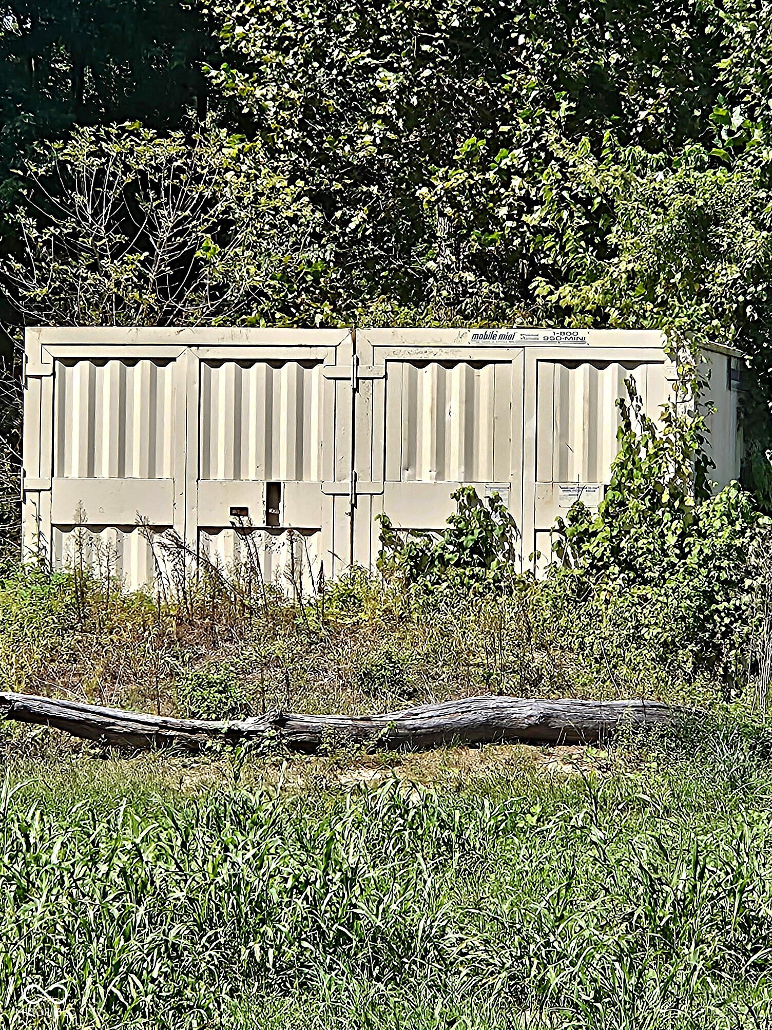 0 Guy South Road, Martinsville, IN, 46151 photo 4 of 17