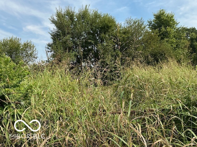 1907 Hillside Avenue, Indianapolis, IN, 46218 photo 4 of 6