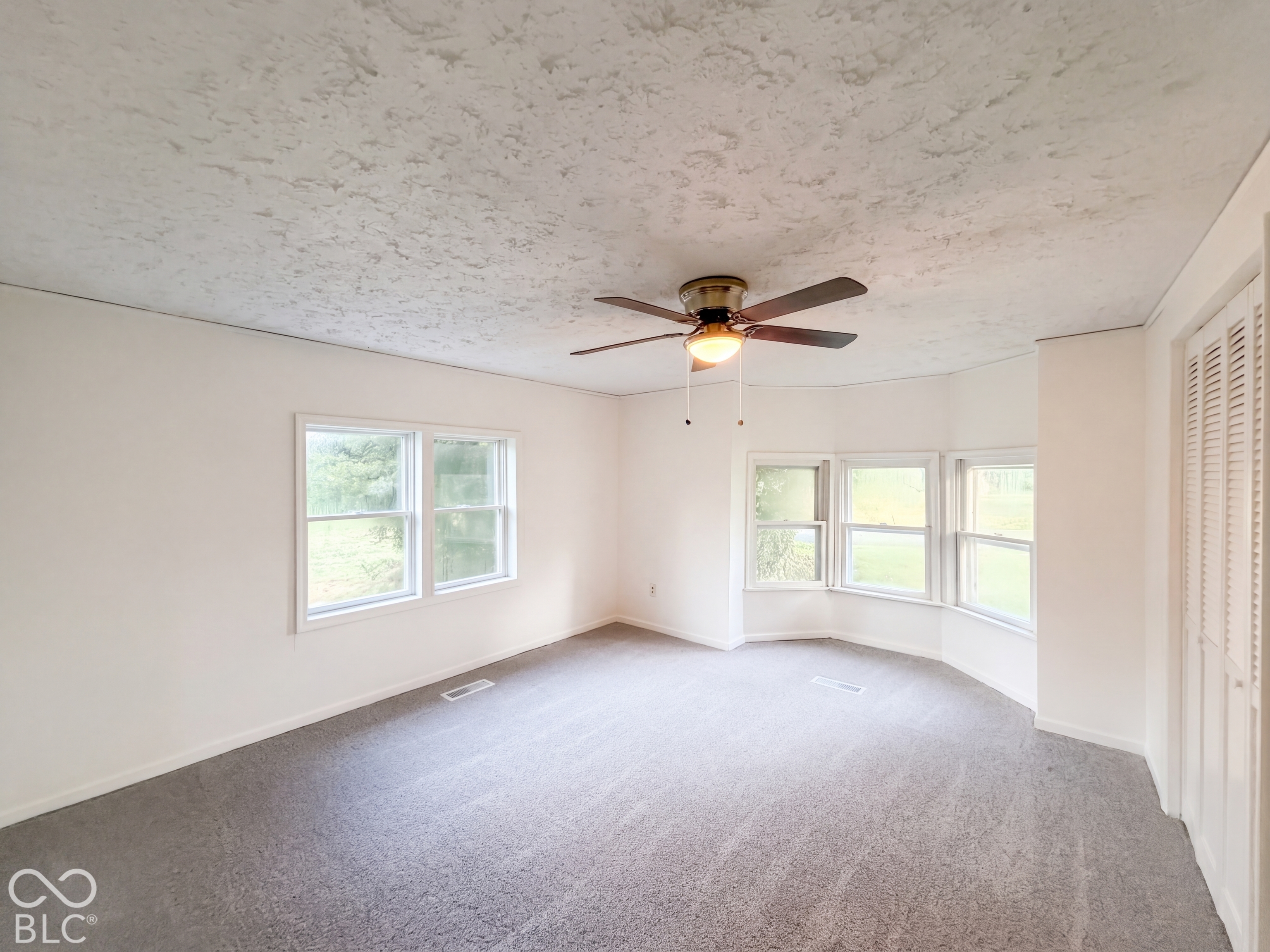 207 E Park Street, Trafalgar, IN, 46181 photo 4 of 19