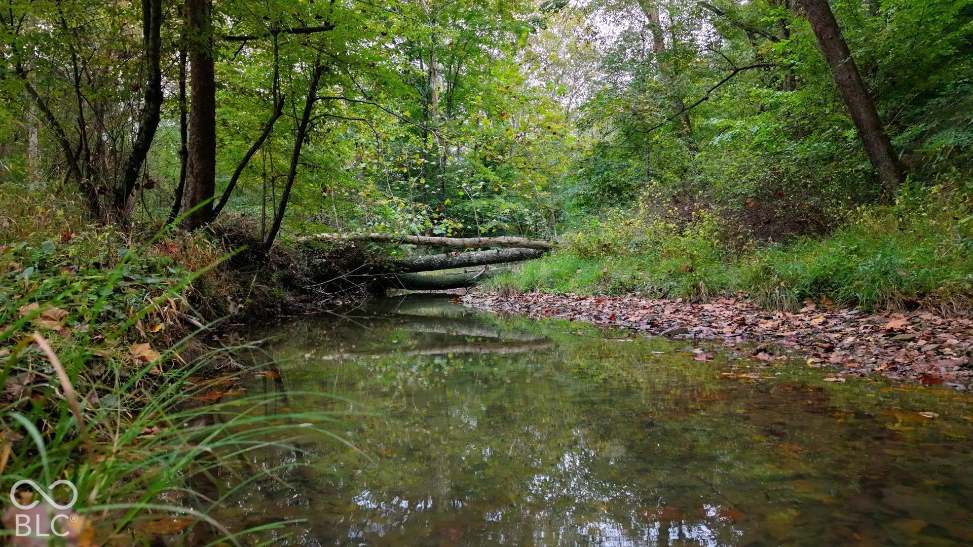 XX Rinnie Seitz Road, Nashville, IN, 47448 photo 4 of 25