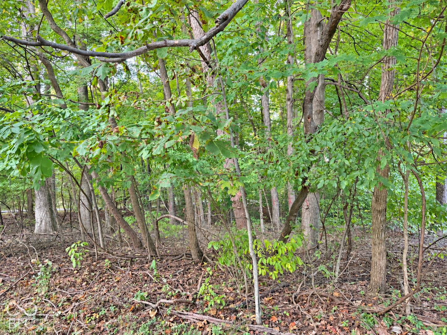 0 Sunderland Drive, Martinsville, IN, 46151 photo 4 of 6
