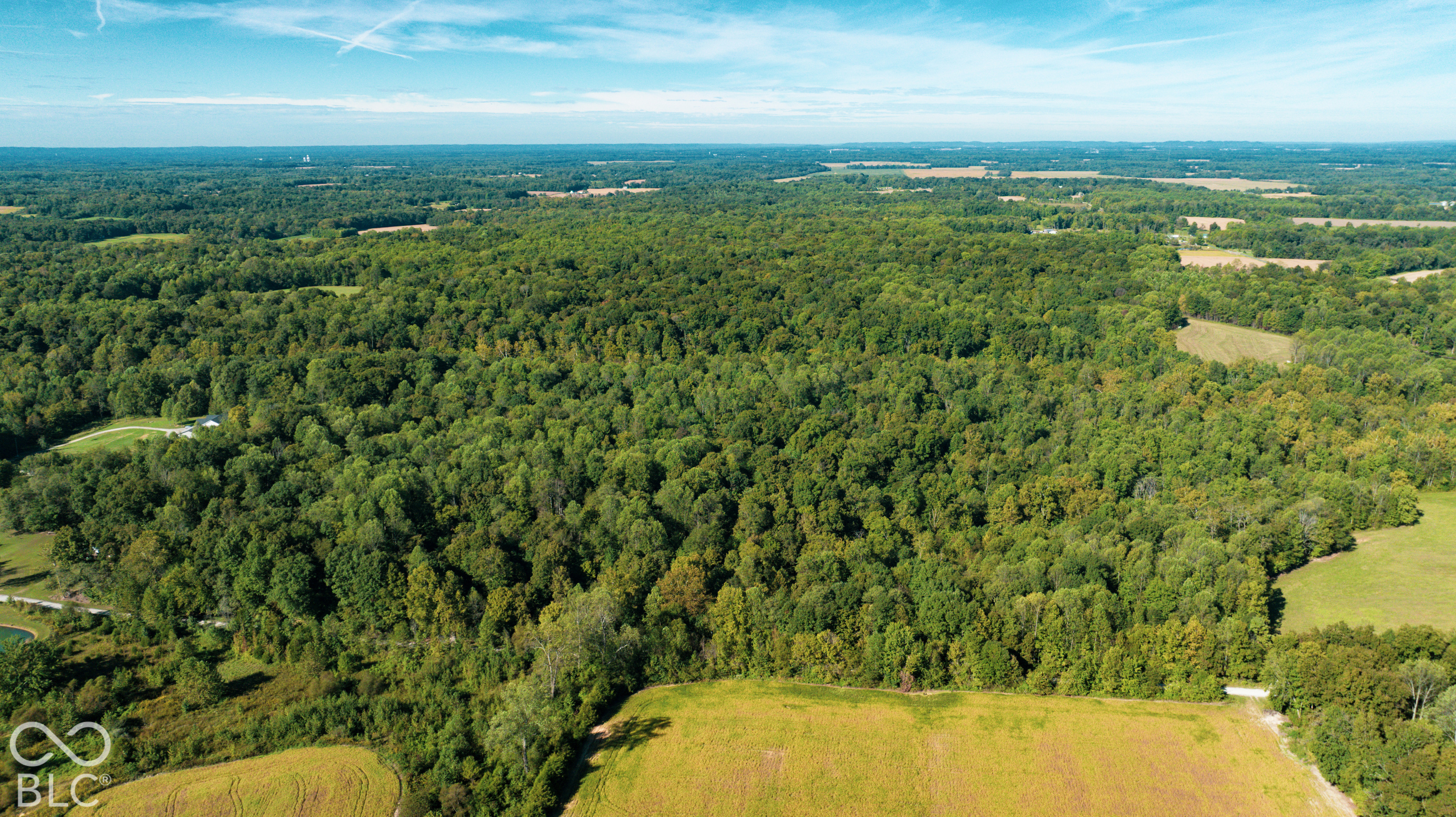 Tract 4 E Peacock Road, Deputy, IN, 47230 photo 4 of 10
