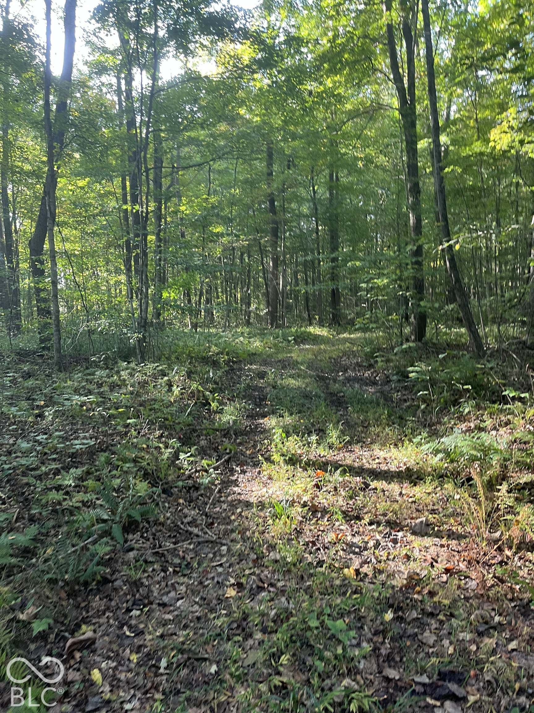 Tract 8 Sunnyside Road, Deputy, IN, 47230 photo 4 of 11