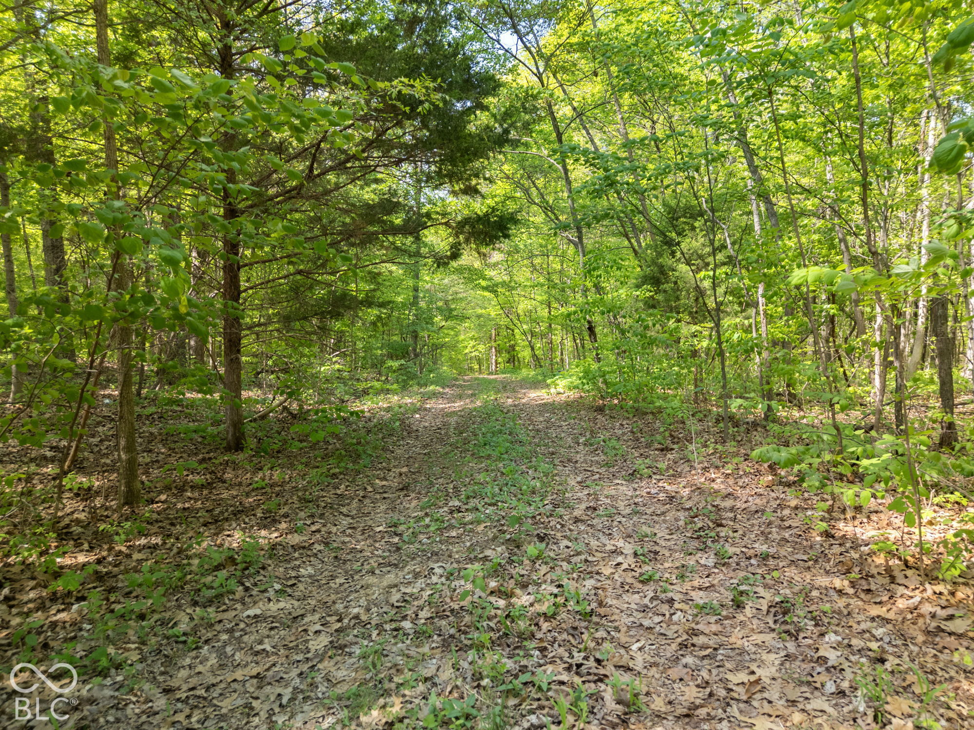 0 Co Rd 675 S, French Lick, IN, 47432 photo 4 of 21