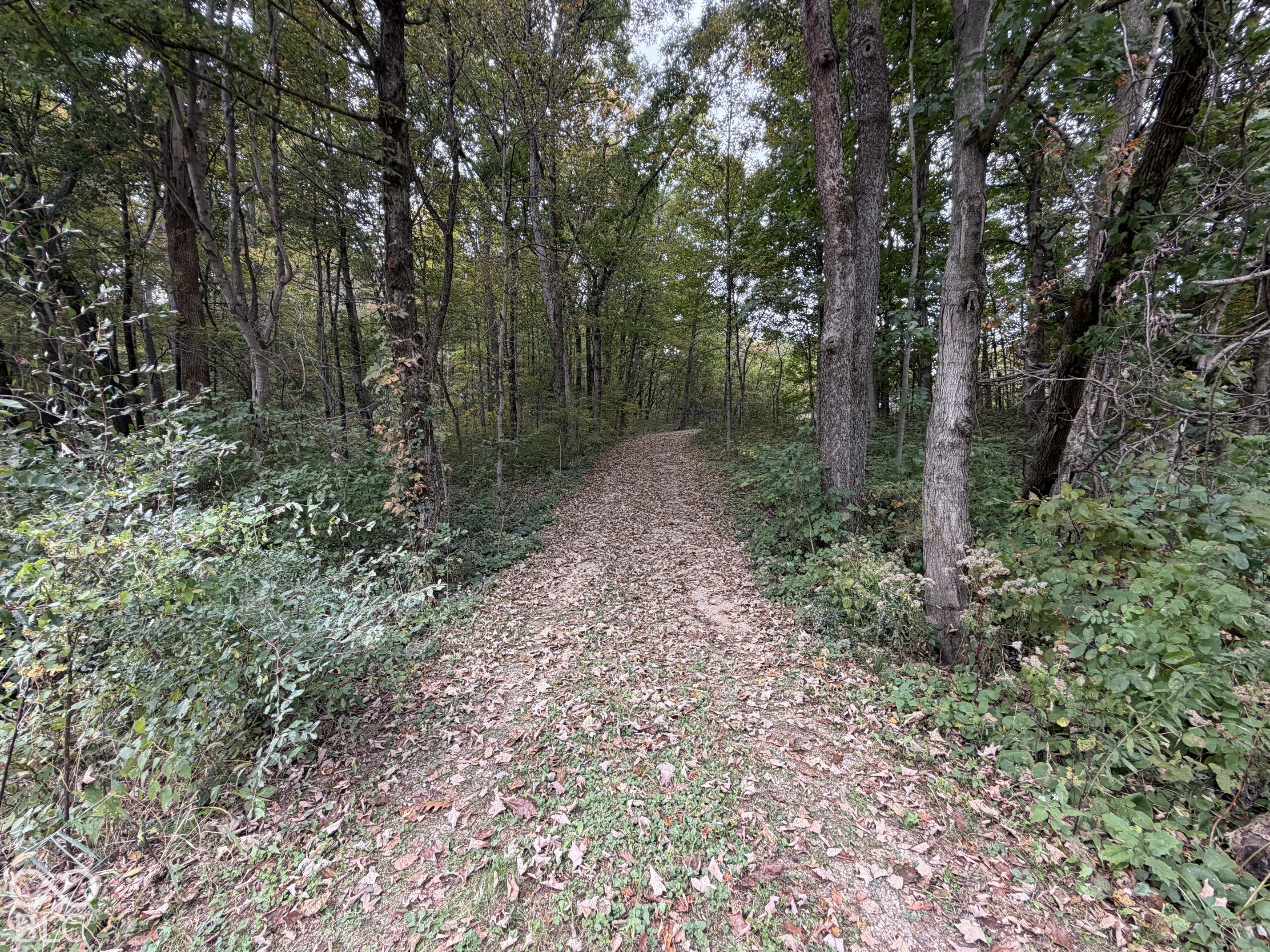 0 S Glascock Road, Veedersburg, IN, 47987 photo 4 of 46