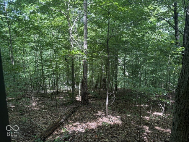 0 Buffalo Pike Road, Freetown, IN, 47235 photo 4 of 15