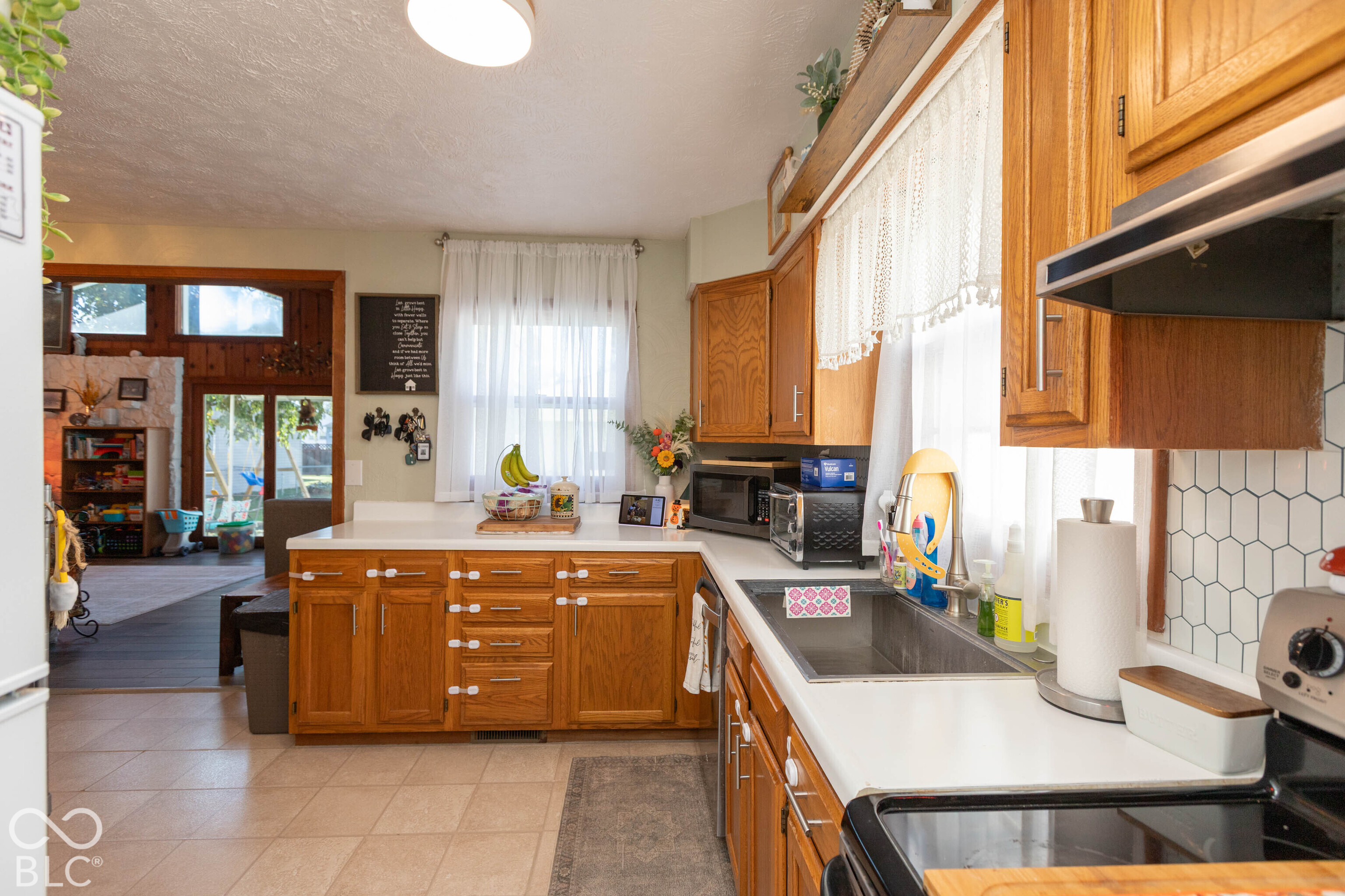 504 E Douglas Drive, Brownsburg, IN, 46112 photo 4 of 24